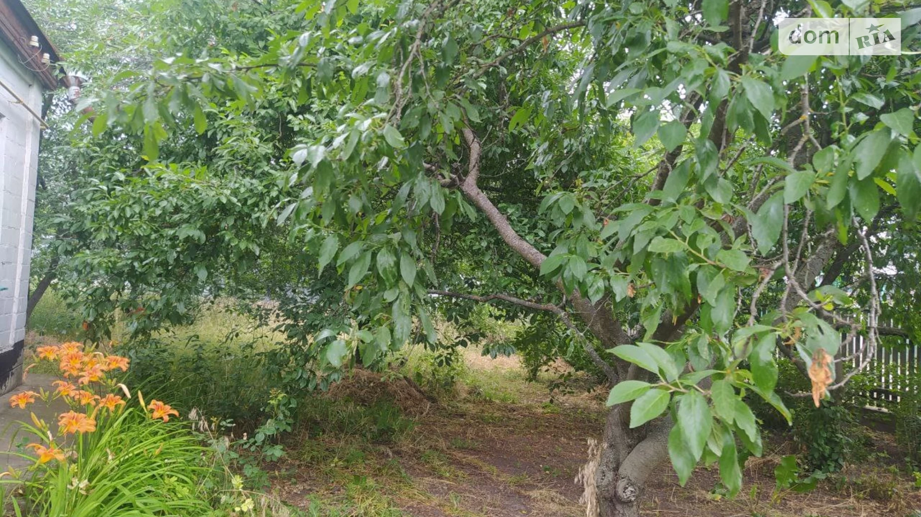 Продается одноэтажный дом 58 кв. м с баней/сауной, цена: 19000 $ - фото 2