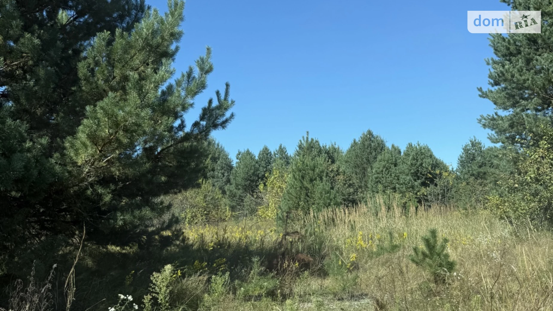 Продается земельный участок 15 соток в Киевской области, цена: 6000 $ - фото 2