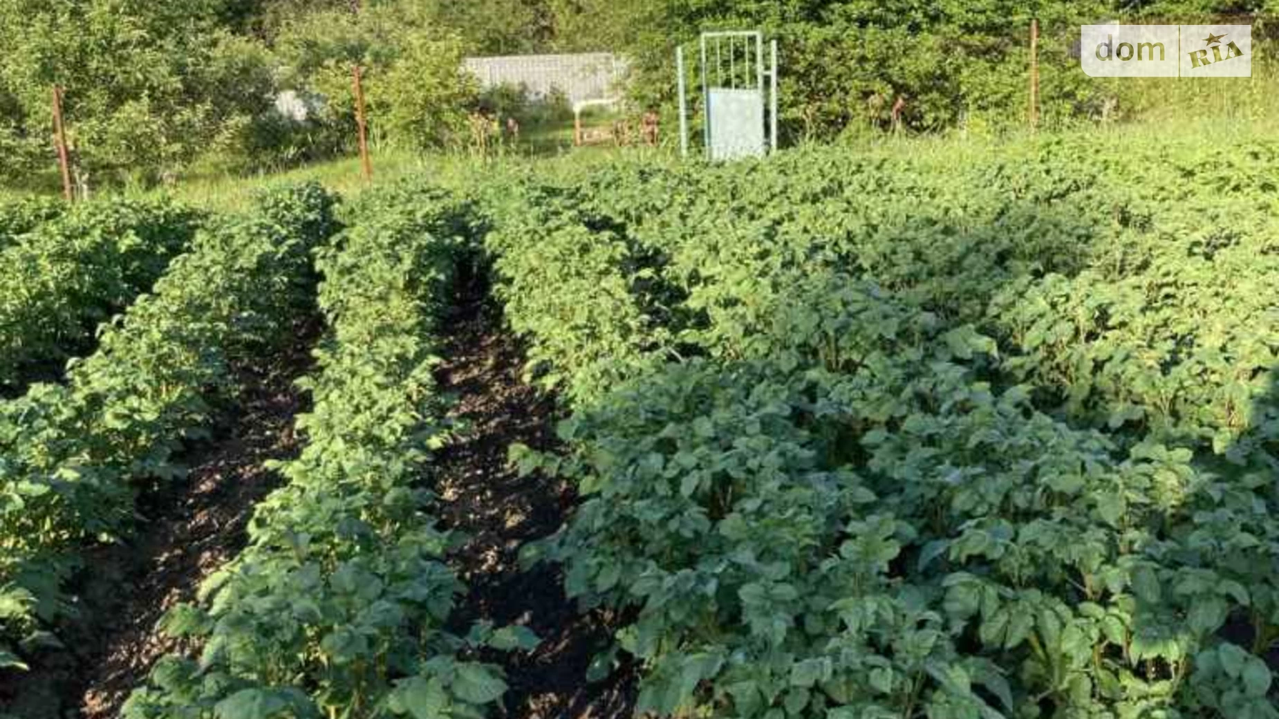 Продається земельна ділянка 15.66 соток у Полтавській області, цена: 10000 $ - фото 2