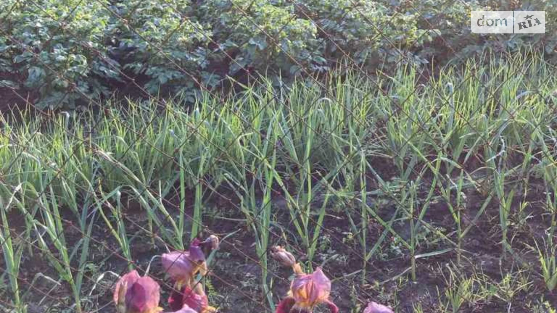 Продається земельна ділянка 15.66 соток у Полтавській області, цена: 10000 $ - фото 4