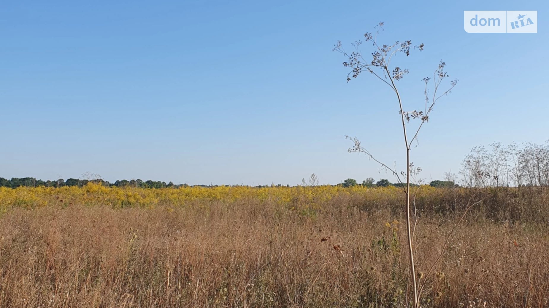 Продается земельный участок 6 соток в Винницкой области, цена: 17500 $ - фото 3