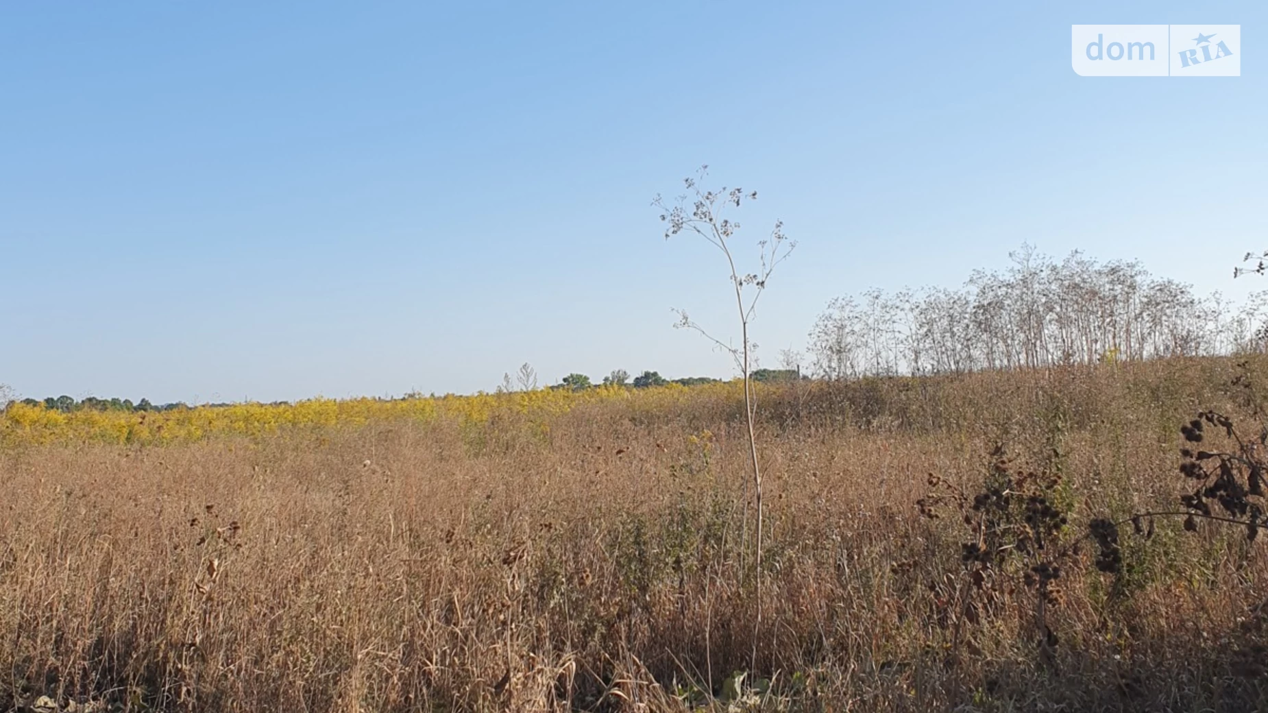 Продается земельный участок 6 соток в Винницкой области, цена: 17500 $ - фото 3