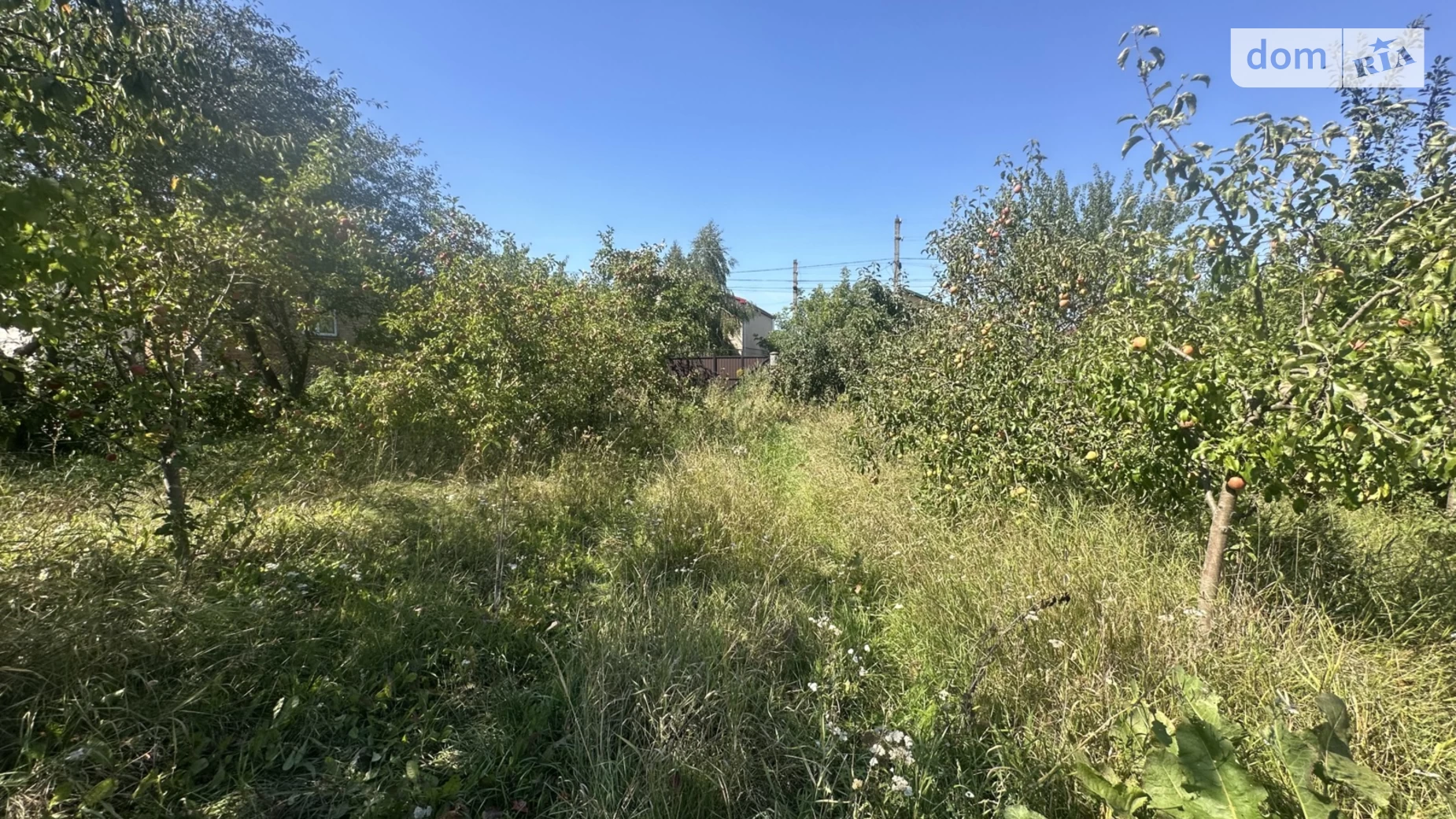 вул. Заводська Стрижавка, цена: 37000 $ - фото 5