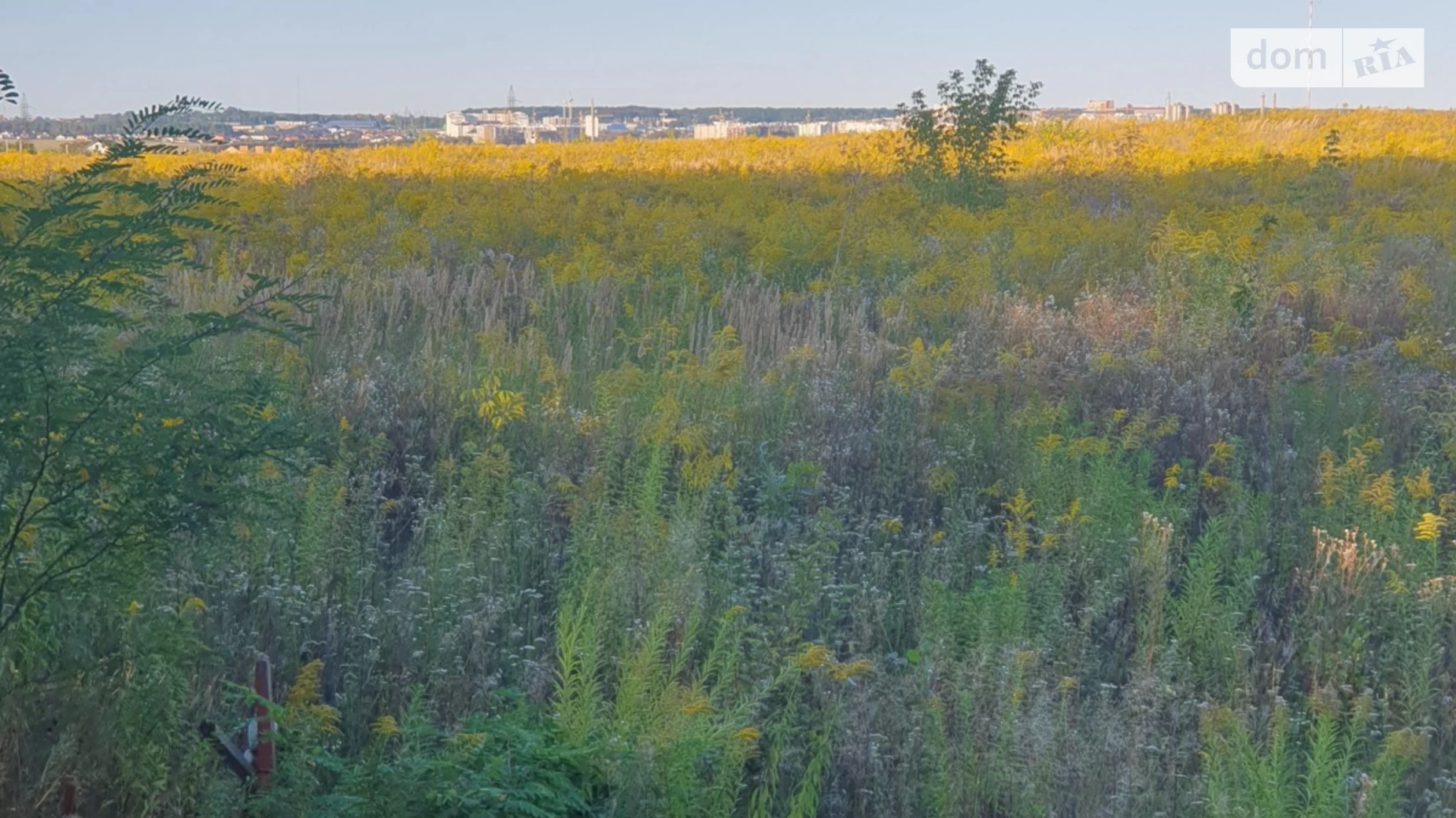 Продается земельный участок 6 соток в Винницкой области, цена: 16500 $ - фото 2