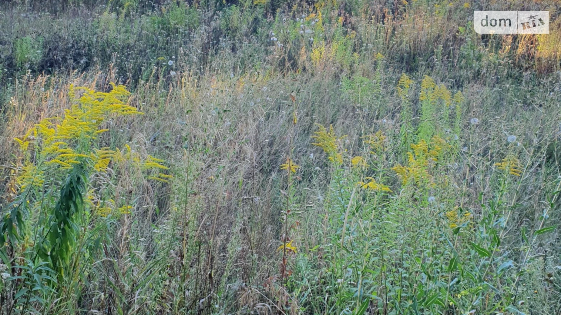 Продается земельный участок 6 соток в Винницкой области, цена: 16500 $ - фото 4