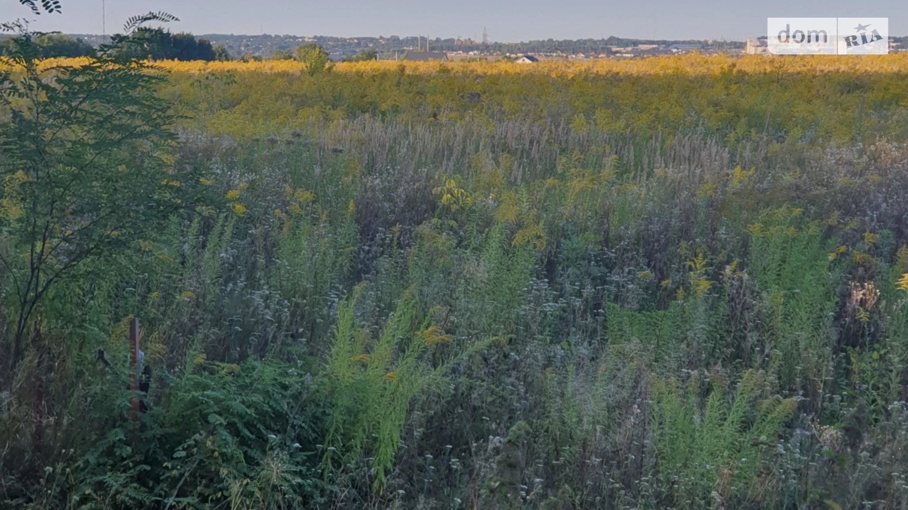 Продается земельный участок 6 соток в Винницкой области, цена: 16500 $ - фото 5