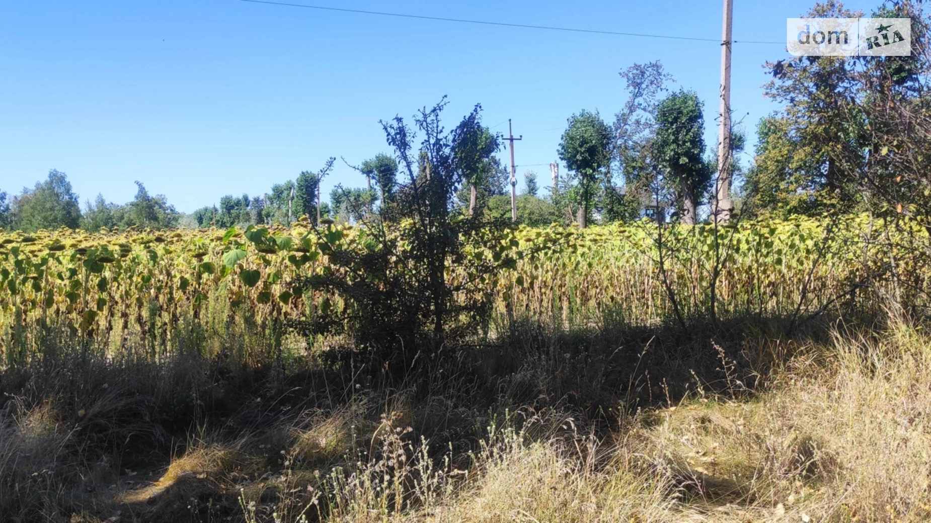 Продается земельный участок 12 соток в Винницкой области, цена: 8500 $ - фото 2