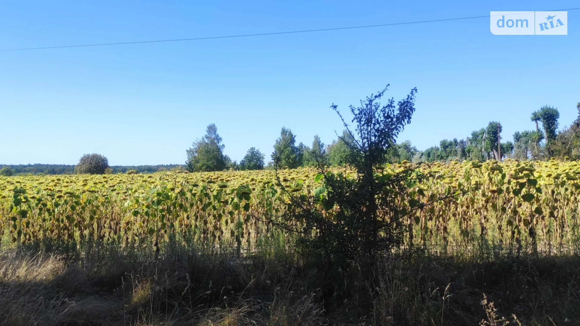 Продается земельный участок 12 соток в Винницкой области, цена: 8500 $ - фото 3