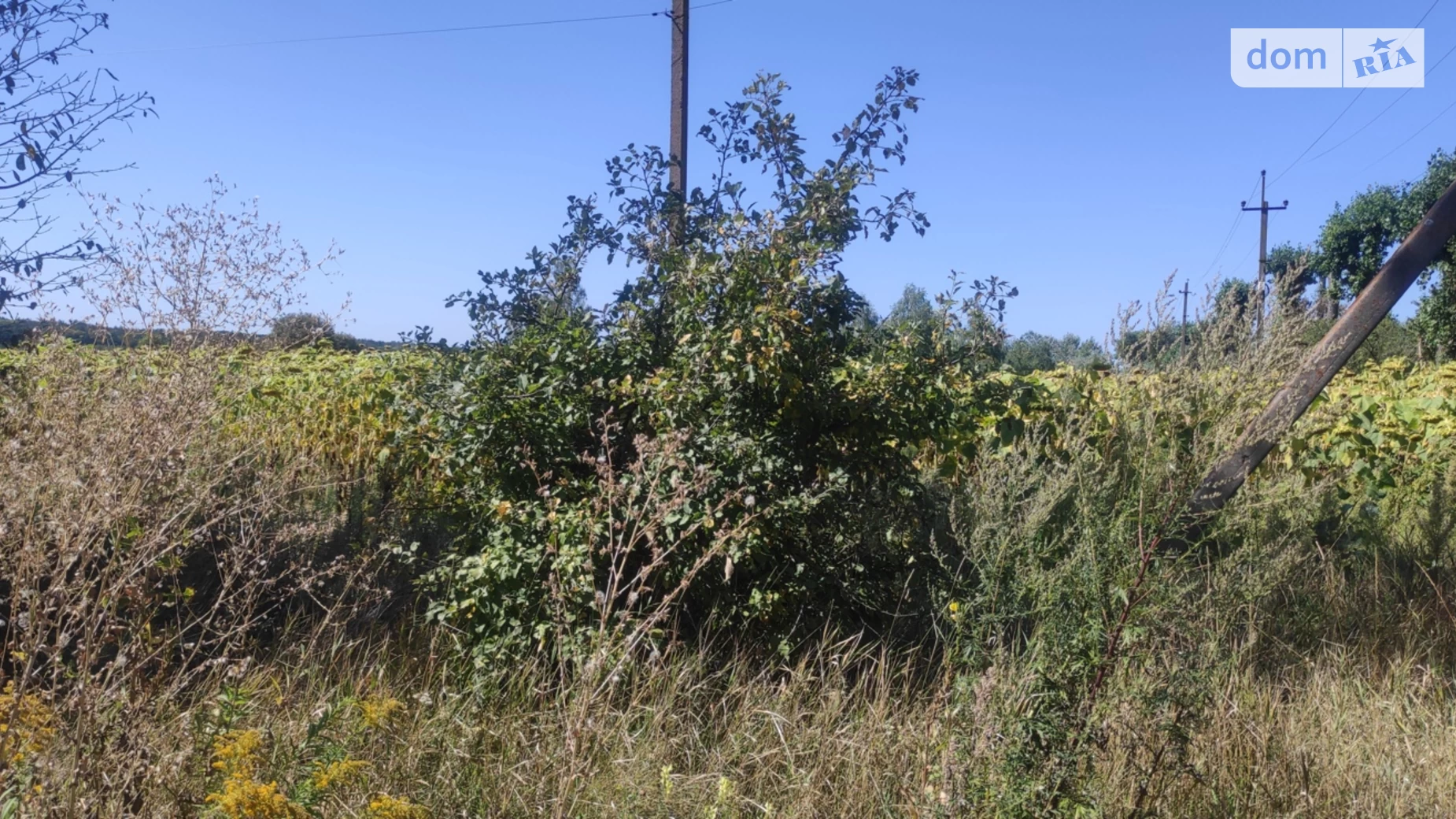 Продается земельный участок 12 соток в Винницкой области, цена: 8500 $ - фото 5