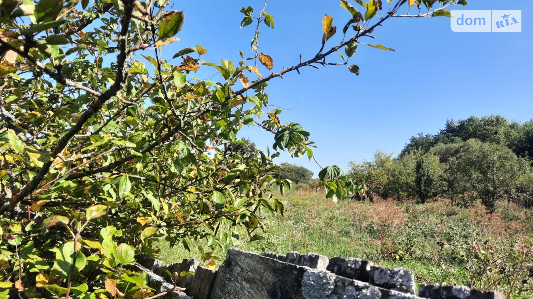 Продається земельна ділянка 18 соток у Вінницькій області, цена: 26000 $ - фото 5