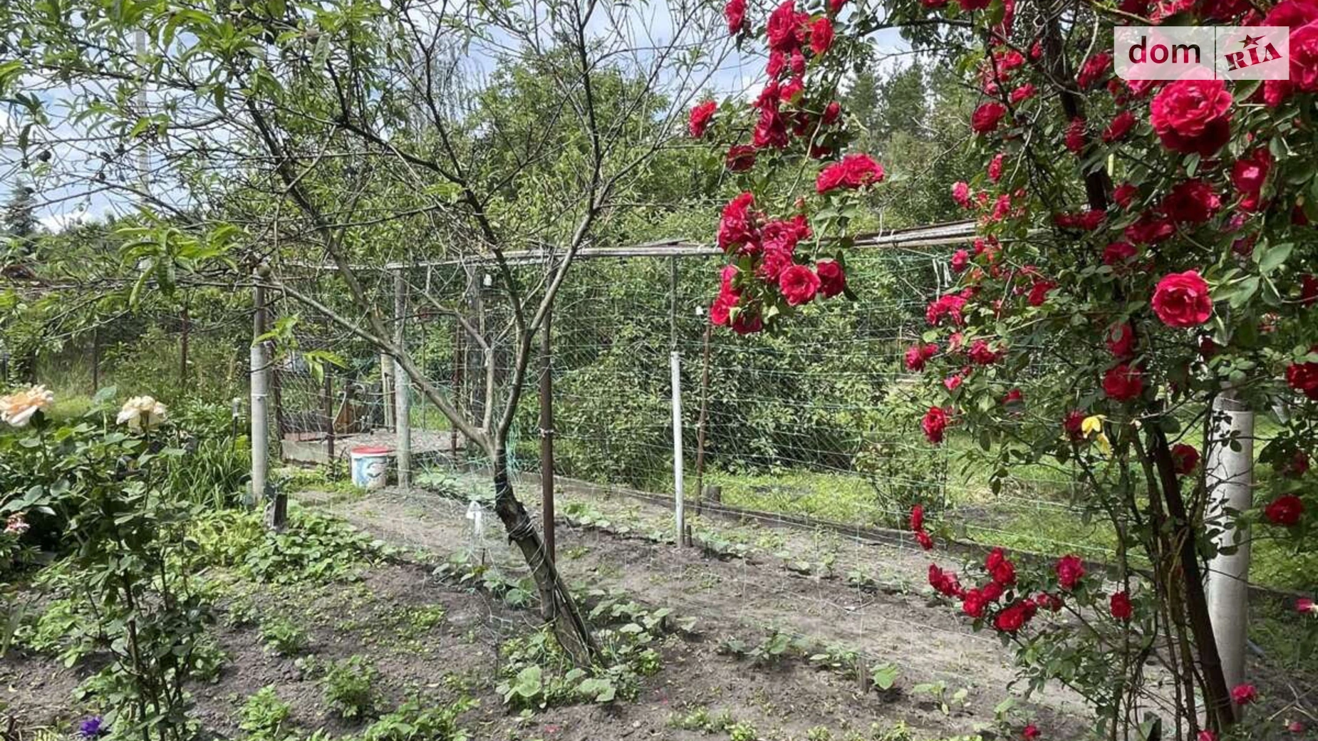 Продается одноэтажный дом 48.4 кв. м с террасой, цена: 44000 $ - фото 3