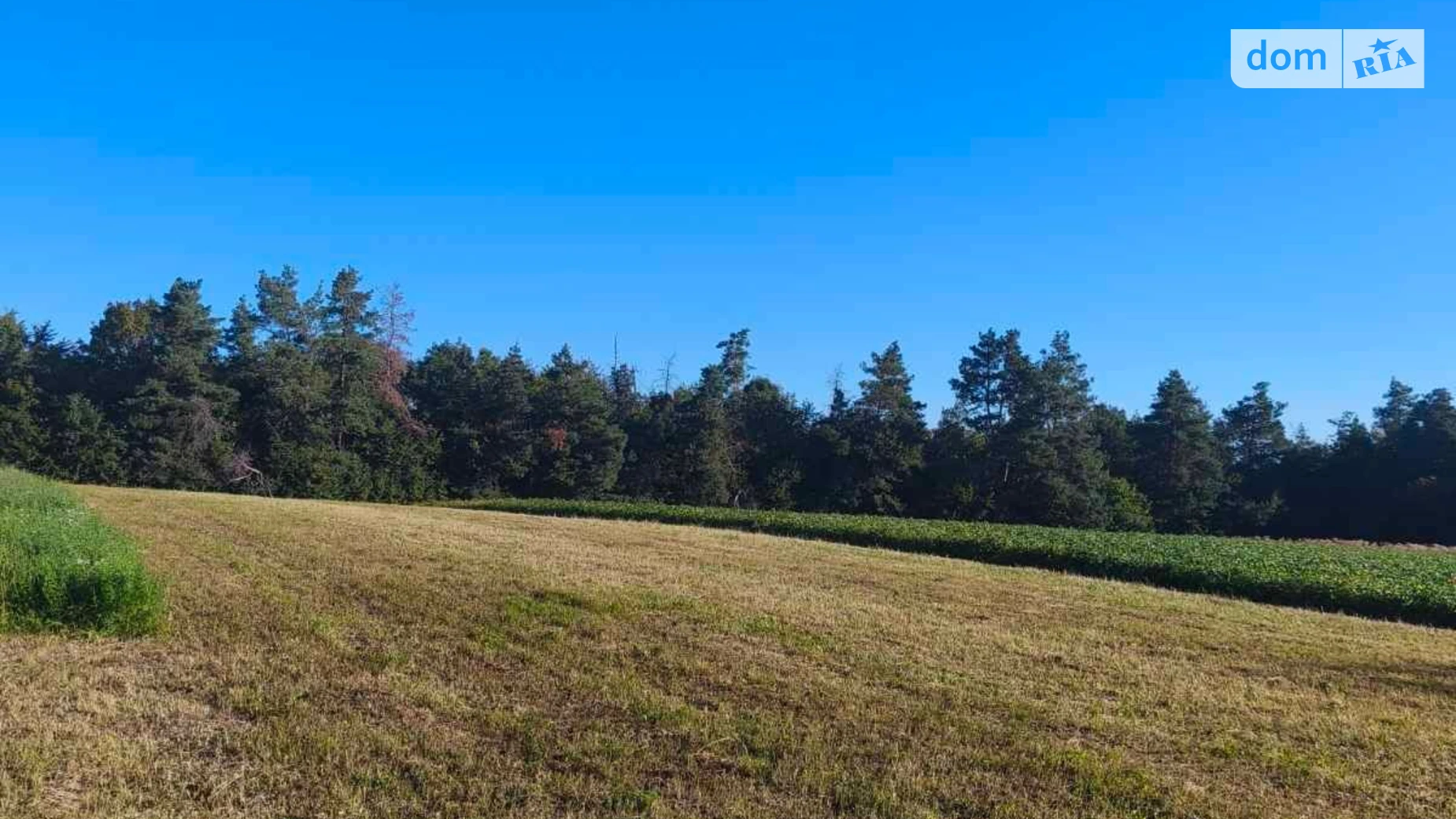 Сдается в аренду земельный участок 4.153 соток в Винницкой области, цена: 13144 грн - фото 2