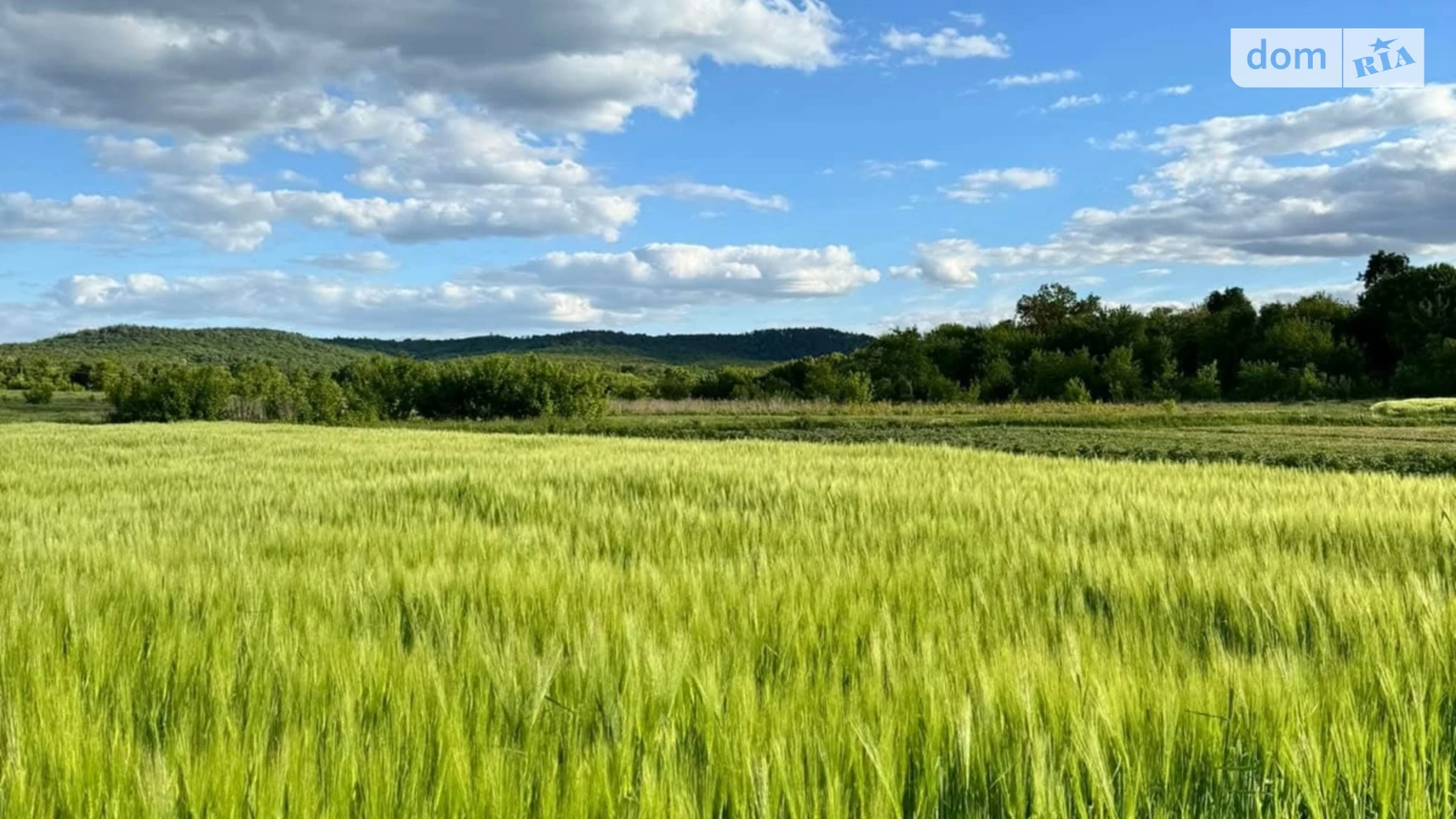 Продається земельна ділянка 8.1 соток у Тернопільській області, цена: 8000 $ - фото 3