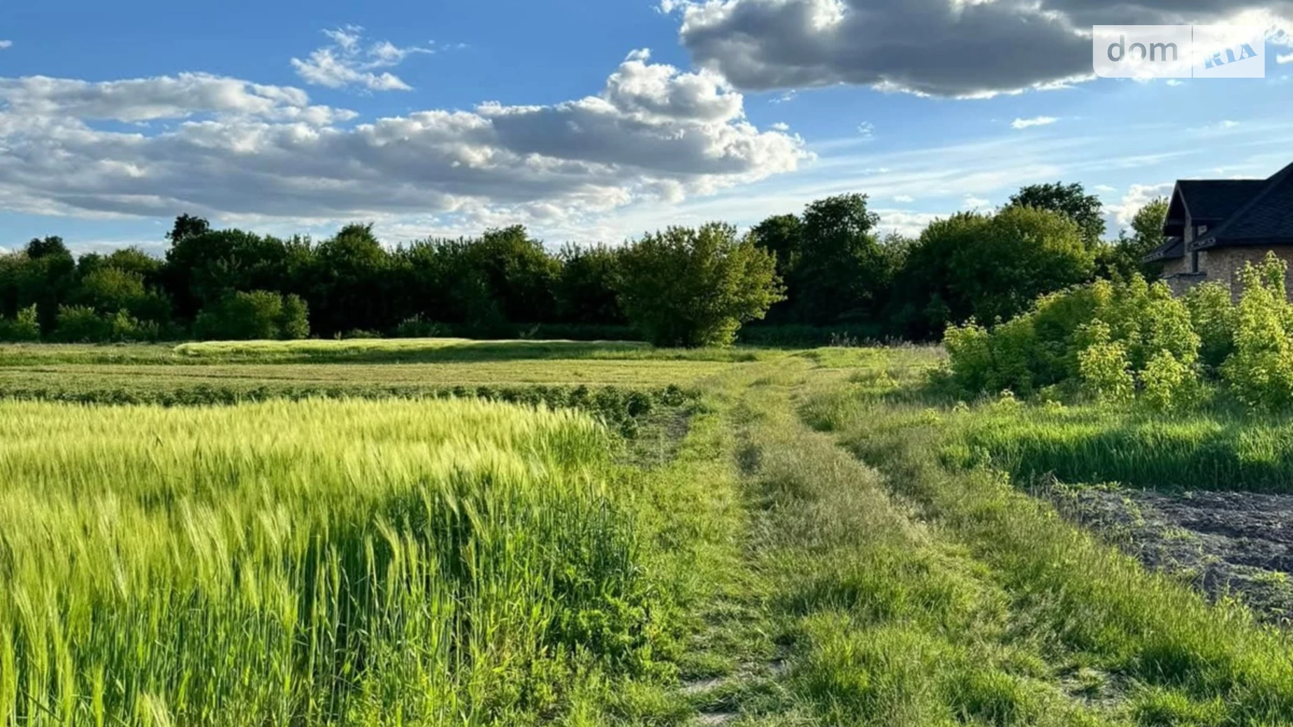 Продається земельна ділянка 8.1 соток у Тернопільській області, цена: 8000 $ - фото 4