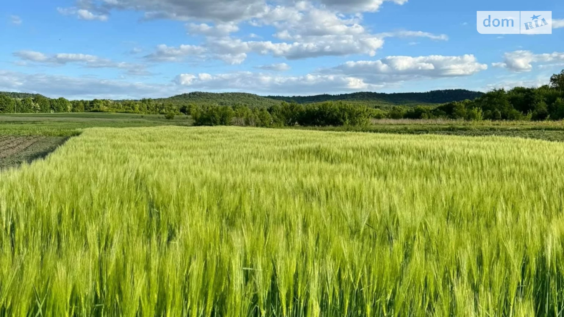 Продається земельна ділянка 8.1 соток у Тернопільській області, цена: 8000 $ - фото 5