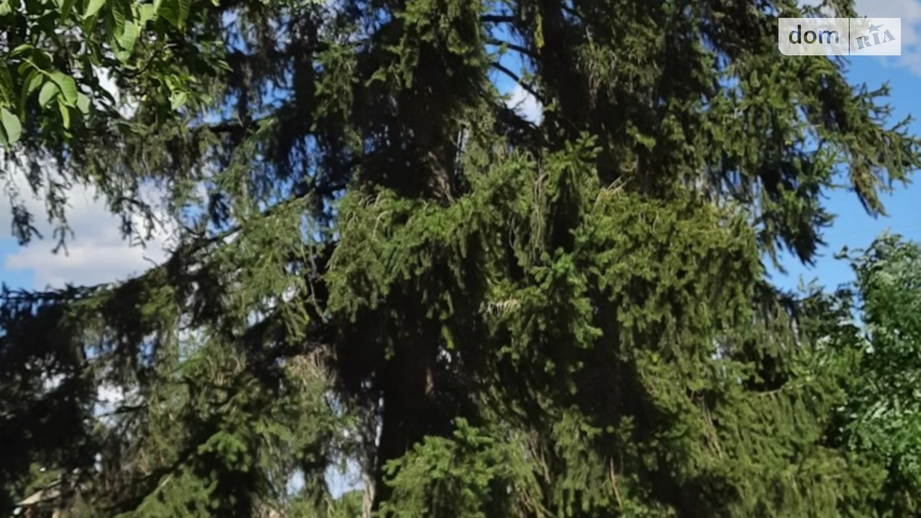 Продается одноэтажный дом 56.1 кв. м с мебелью, цена: 6500 $ - фото 3