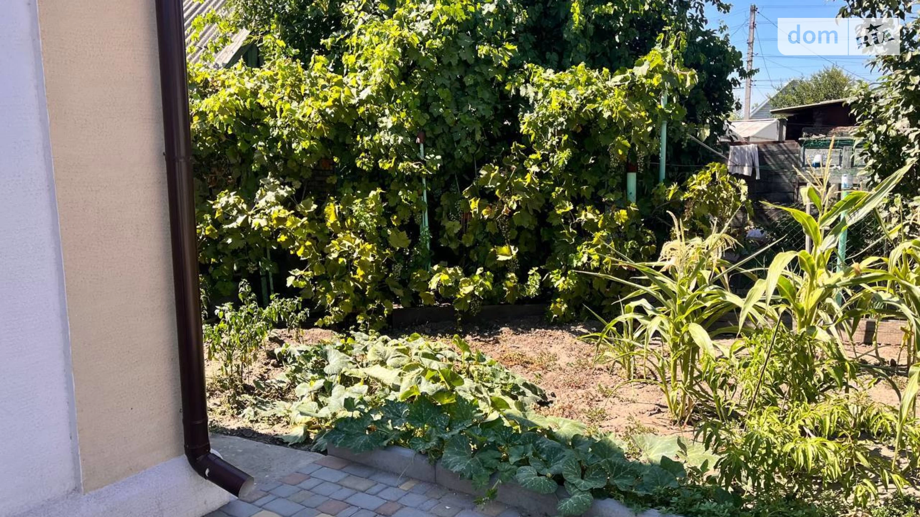 Продается одноэтажный дом 54 кв. м с верандой, цена: 26000 $ - фото 5