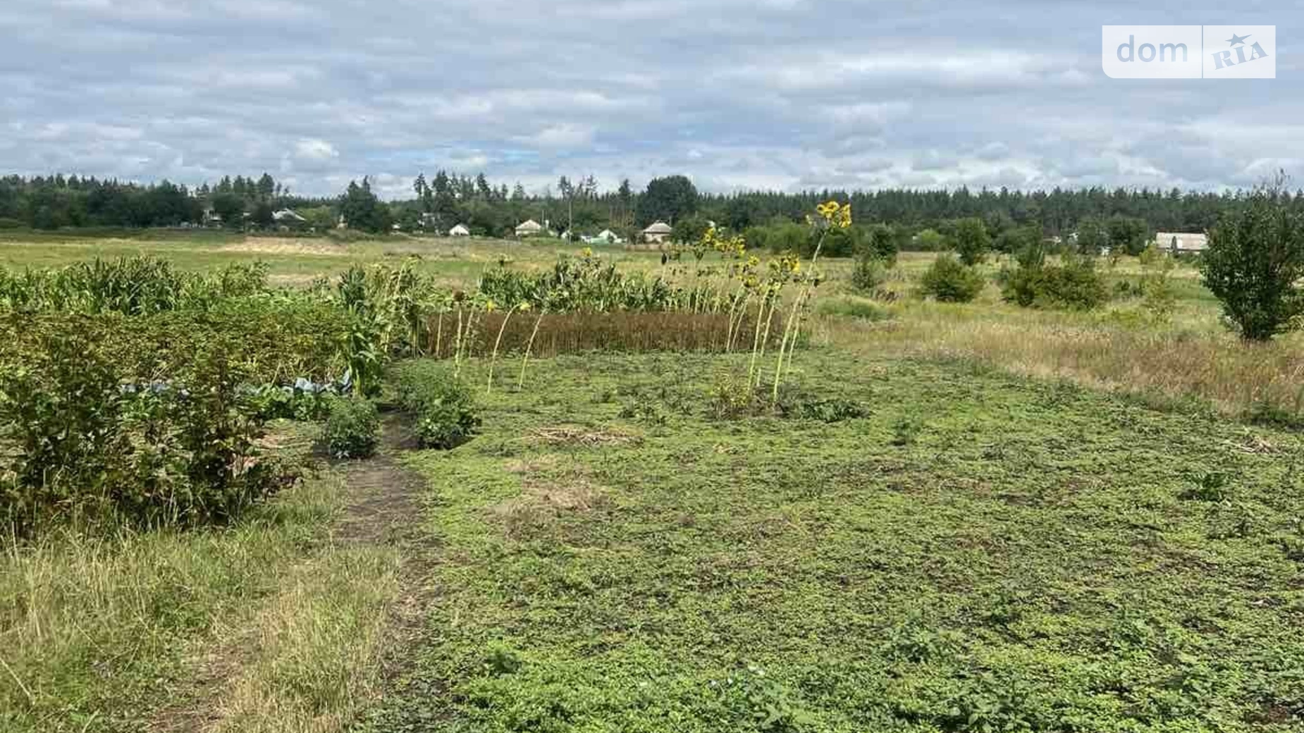 Продается одноэтажный дом 80 кв. м с верандой, цена: 23000 $ - фото 5