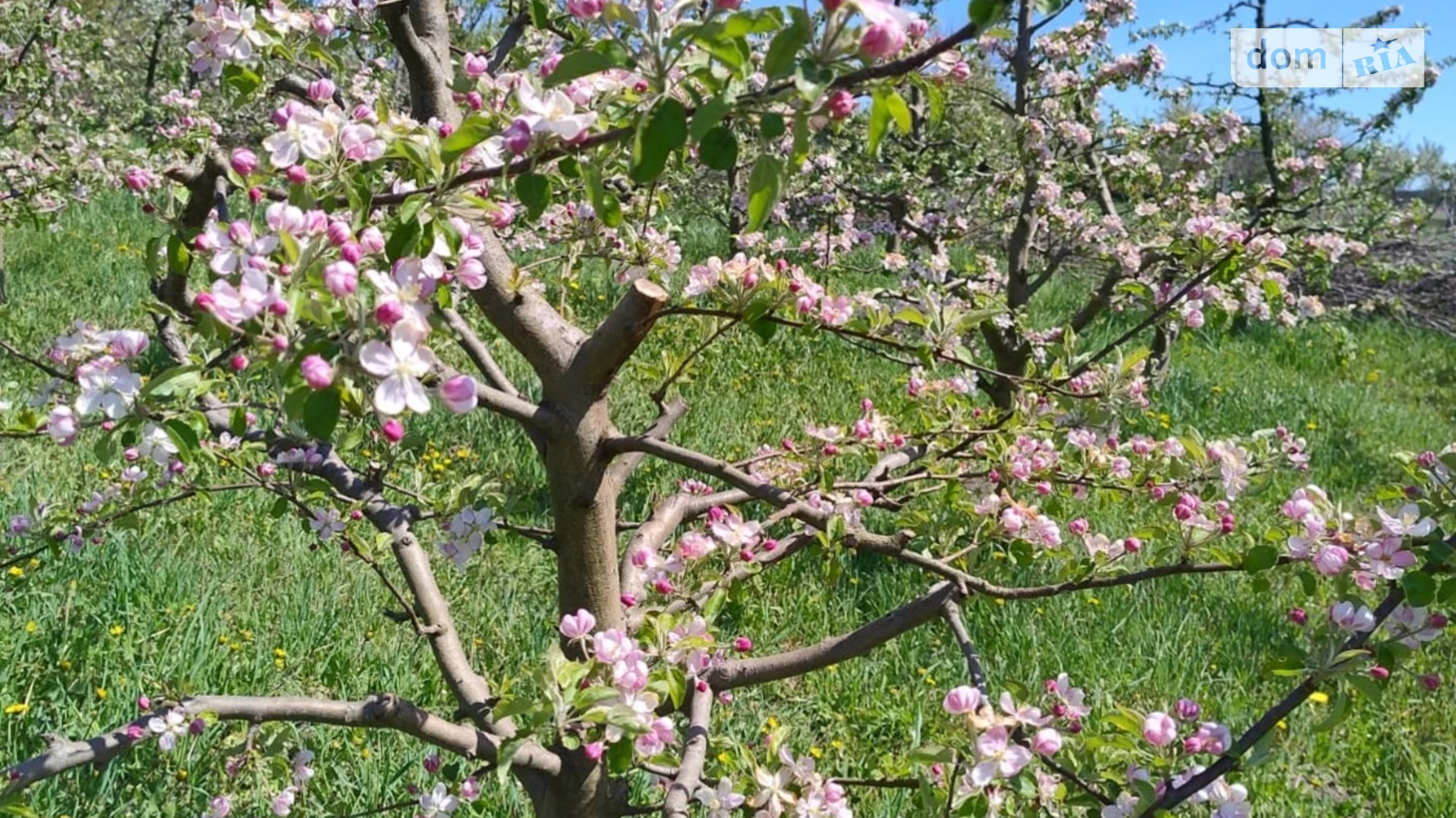 ул. Центральная Правдовка, цена: 12000 $ - фото 4