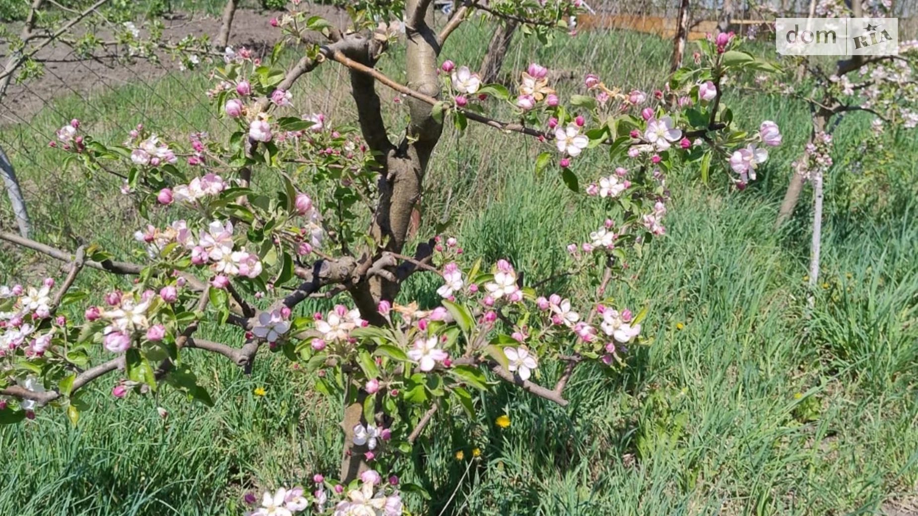 ул. Центральная Правдовка, цена: 12000 $ - фото 5