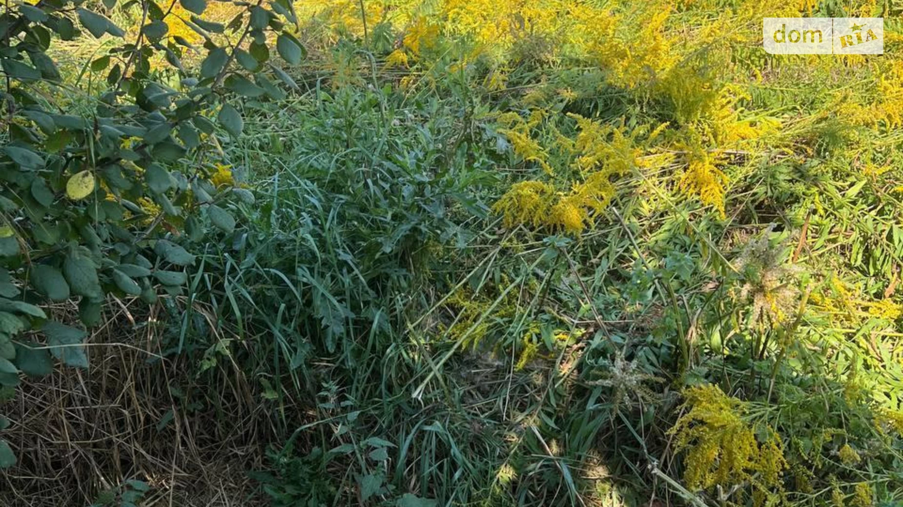 Продается земельный участок 14 соток в Волынской области, цена: 65000 $ - фото 4