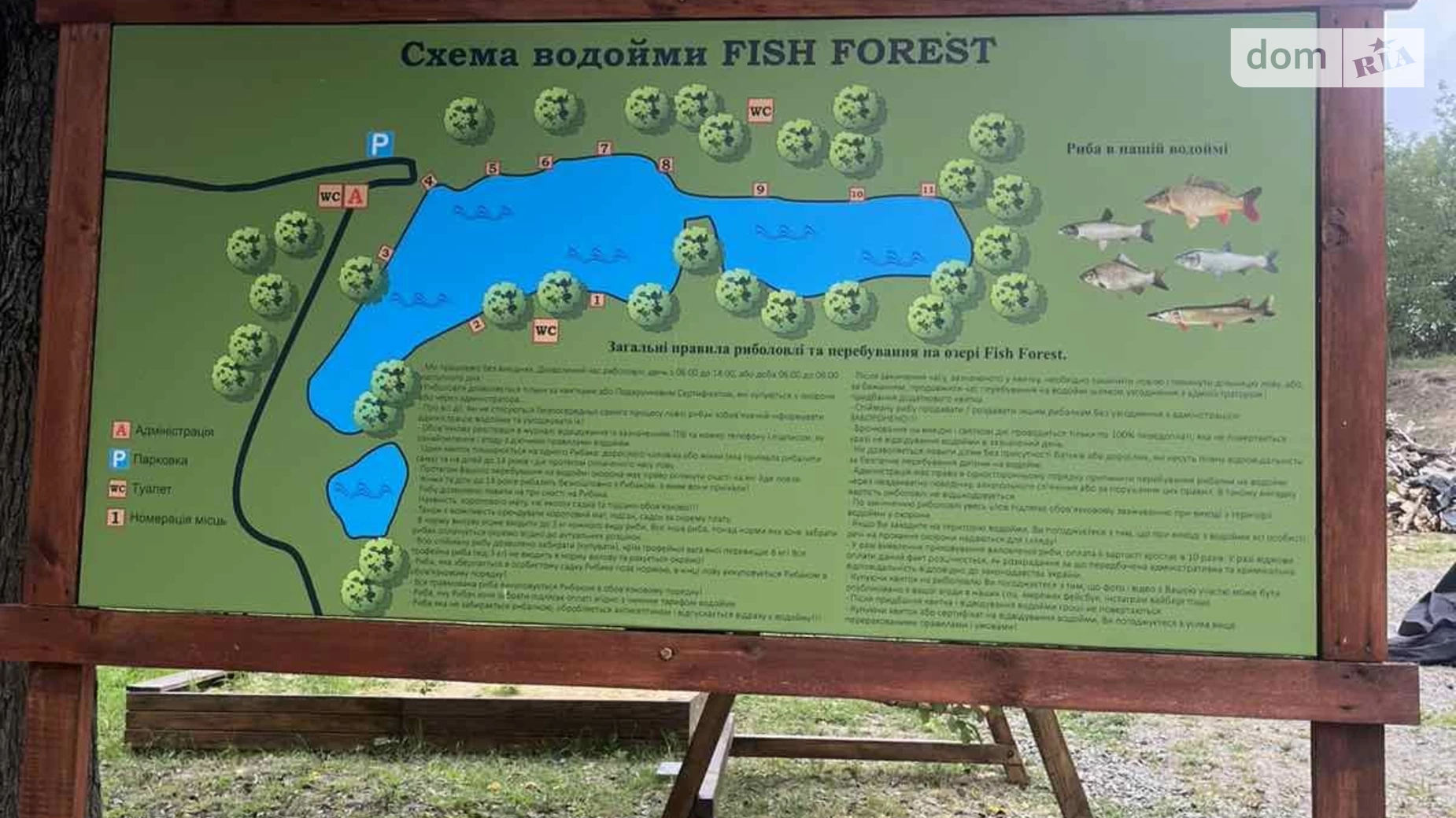 Fish Жаботин, цена: 330000 $ - фото 2