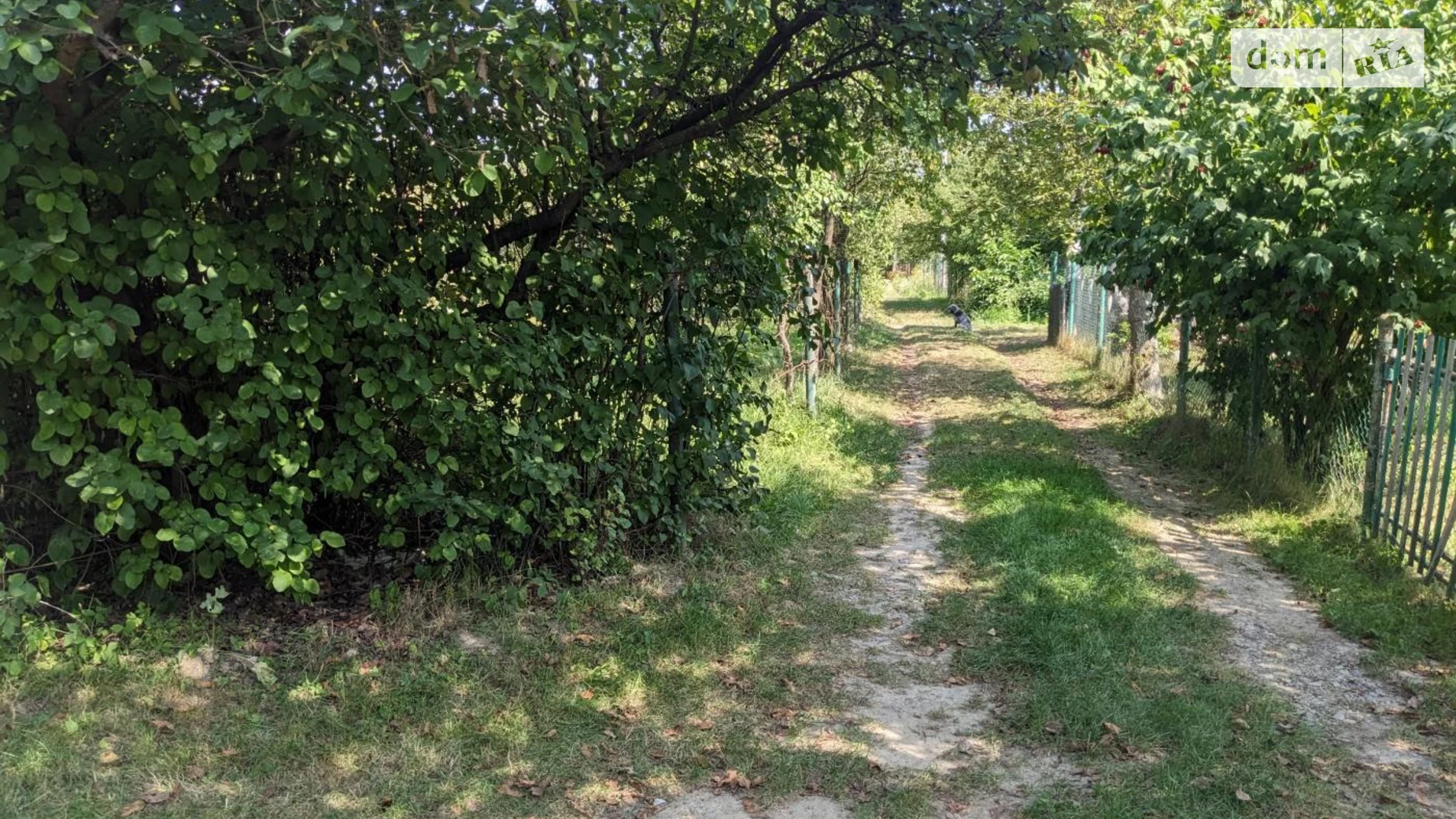 СТ Агрохімік Волчинец, цена: 20000 $ - фото 5