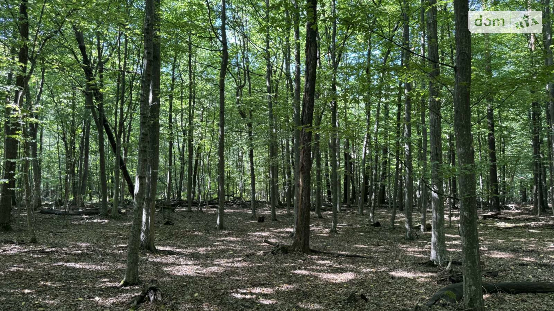 Продается земельный участок 59.4 соток в Киевской области, цена: 8900 $ - фото 3