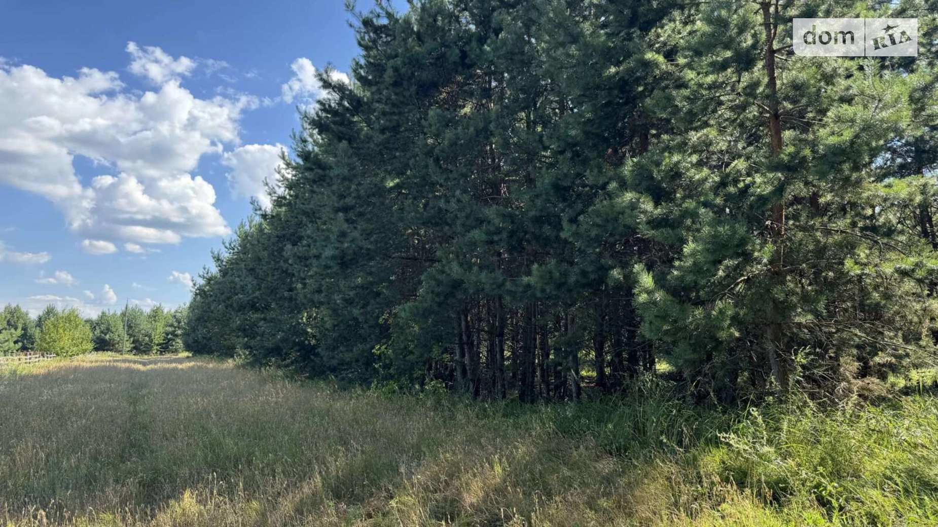 Продается земельный участок 59.4 соток в Киевской области, цена: 8900 $ - фото 4