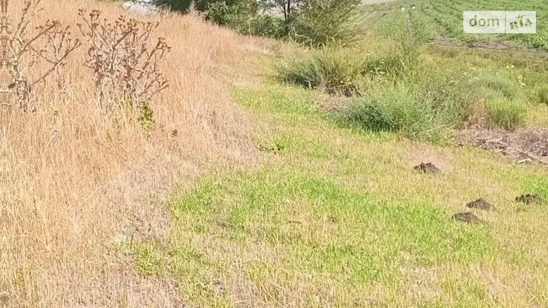 Здається в оренду земельна ділянка 14 соток у Одеській області, цена: 47875 грн - фото 2