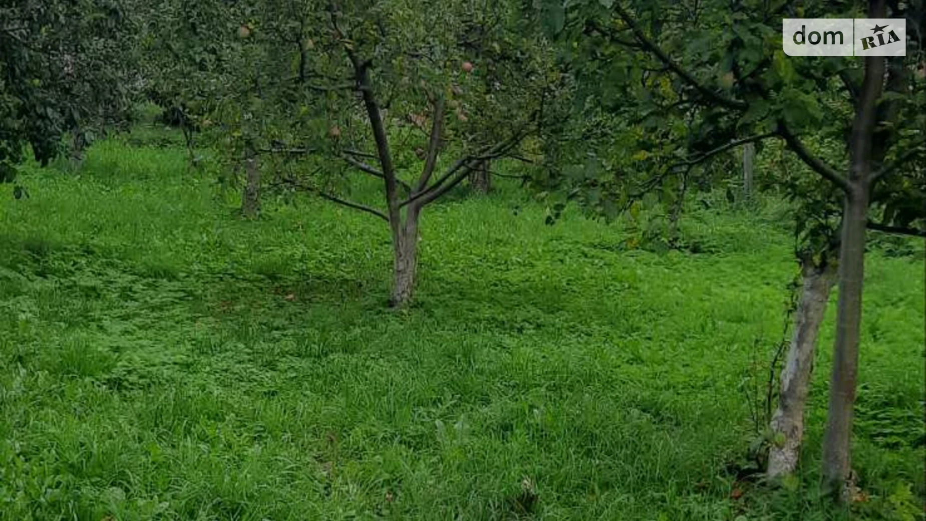 ул. Лесная Лесовые Гриновцы, цена: 65000 $ - фото 4
