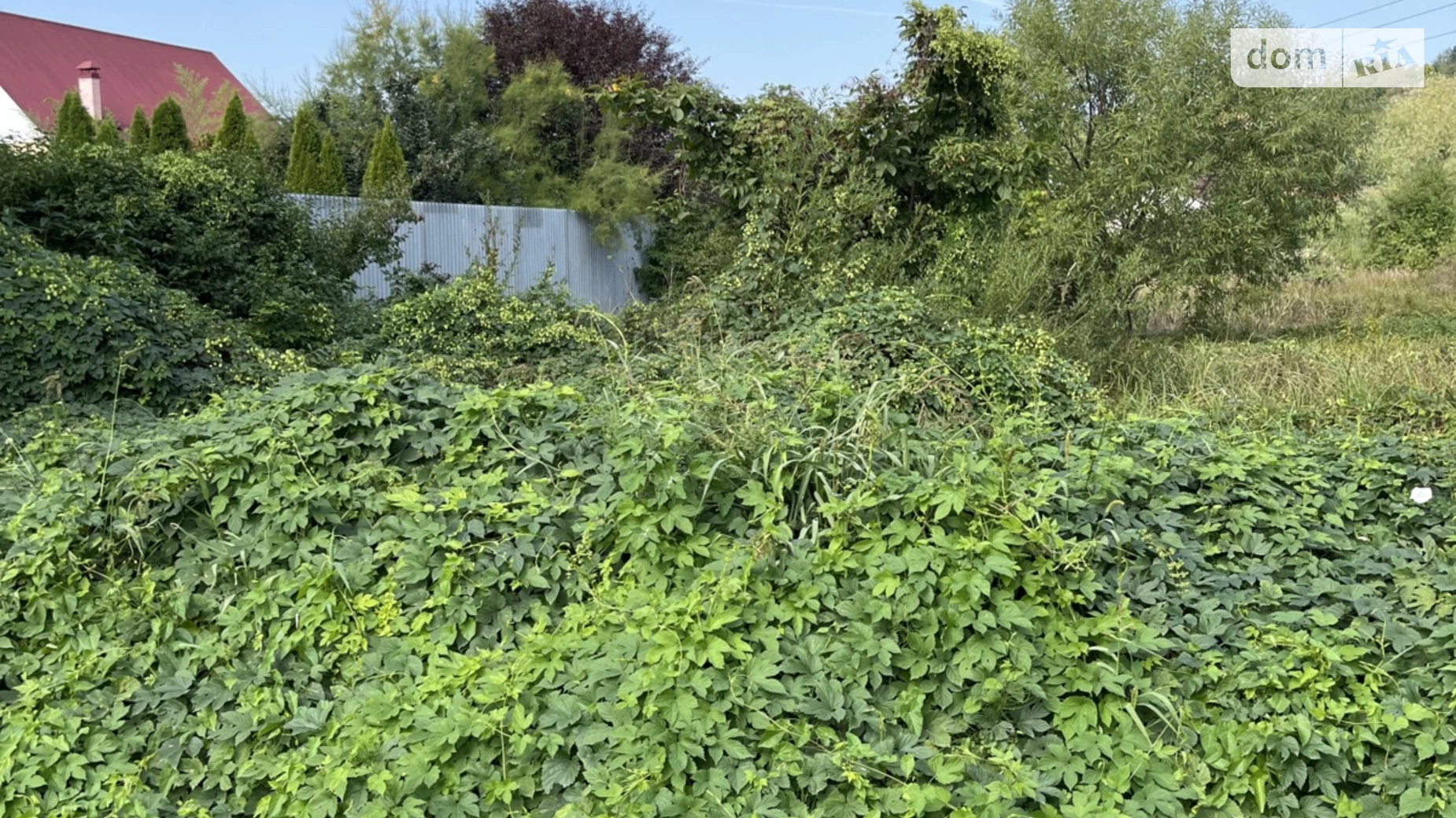 Продається земельна ділянка 5 соток у Закарпатській області, цена: 22000 $ - фото 4