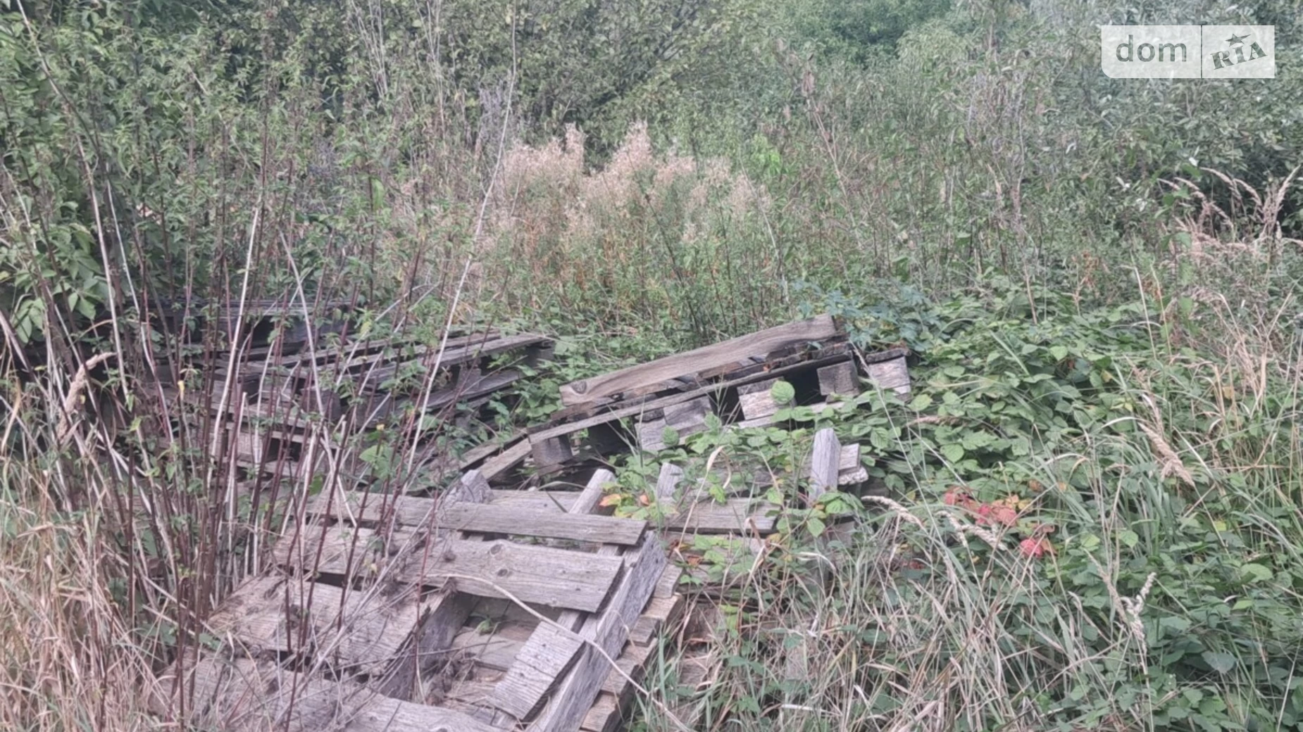 Продается земельный участок 4.8 соток в Закарпатской области, цена: 20000 $ - фото 2