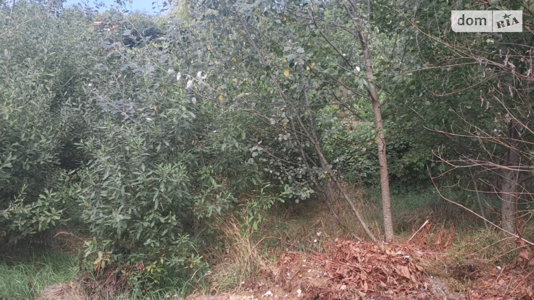 Продается земельный участок 4.8 соток в Закарпатской области, цена: 20000 $ - фото 3