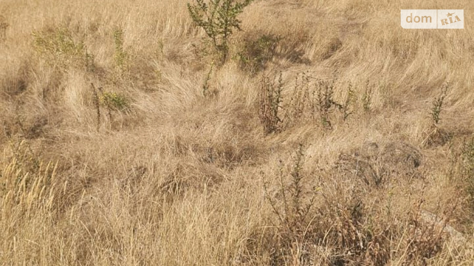 Здається в оренду земельна ділянка 0.5754 соток у Одеській області, цена: 499541 грн - фото 3