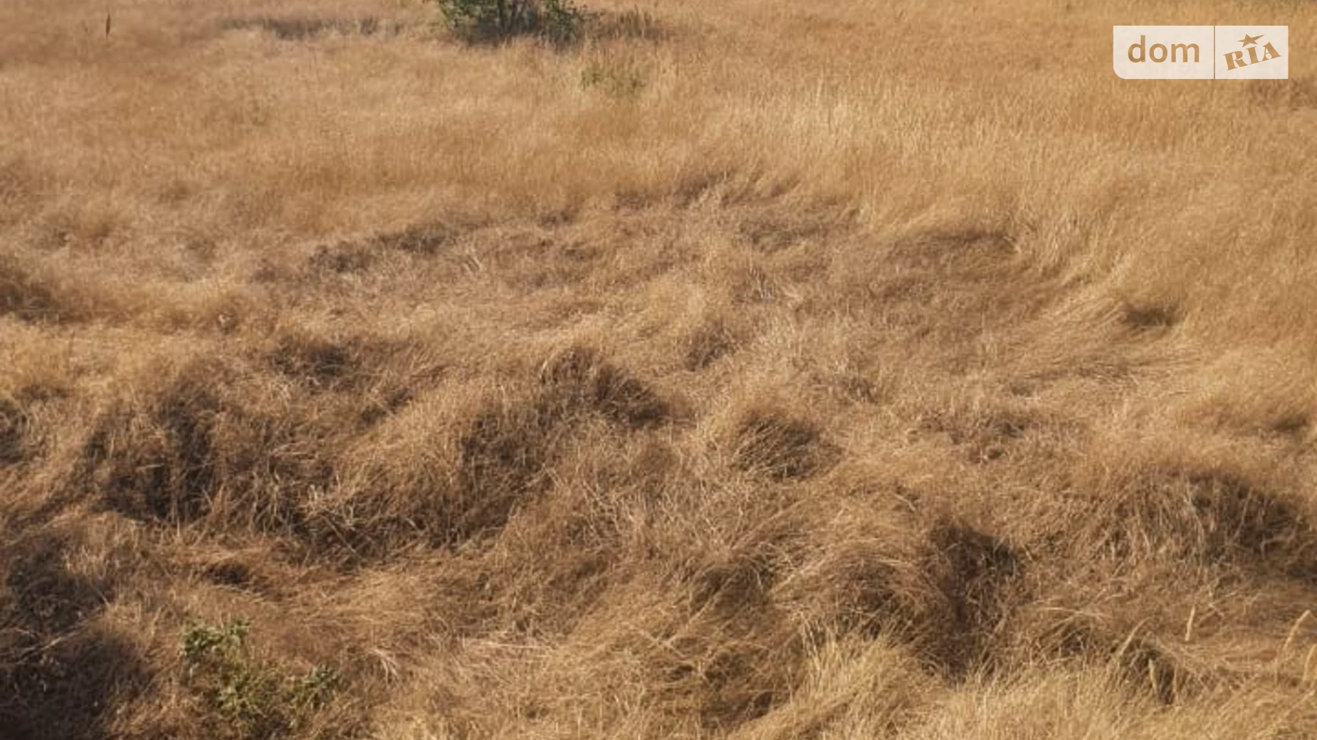 Здається в оренду земельна ділянка 0.5754 соток у Одеській області, цена: 499541 грн - фото 4