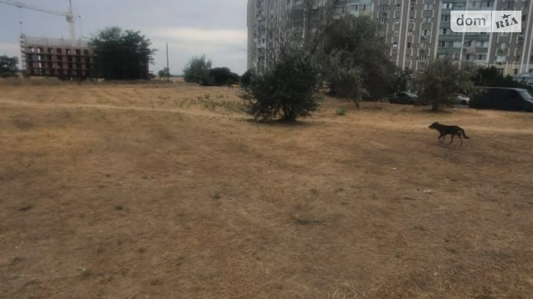 Здається в оренду земельна ділянка 0.6906 соток у Одеській області, цена: 1814438 грн - фото 2