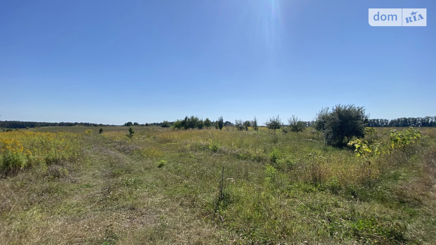 мас. Крыло Второе Бохоники, цена: 23000 $ - фото 4