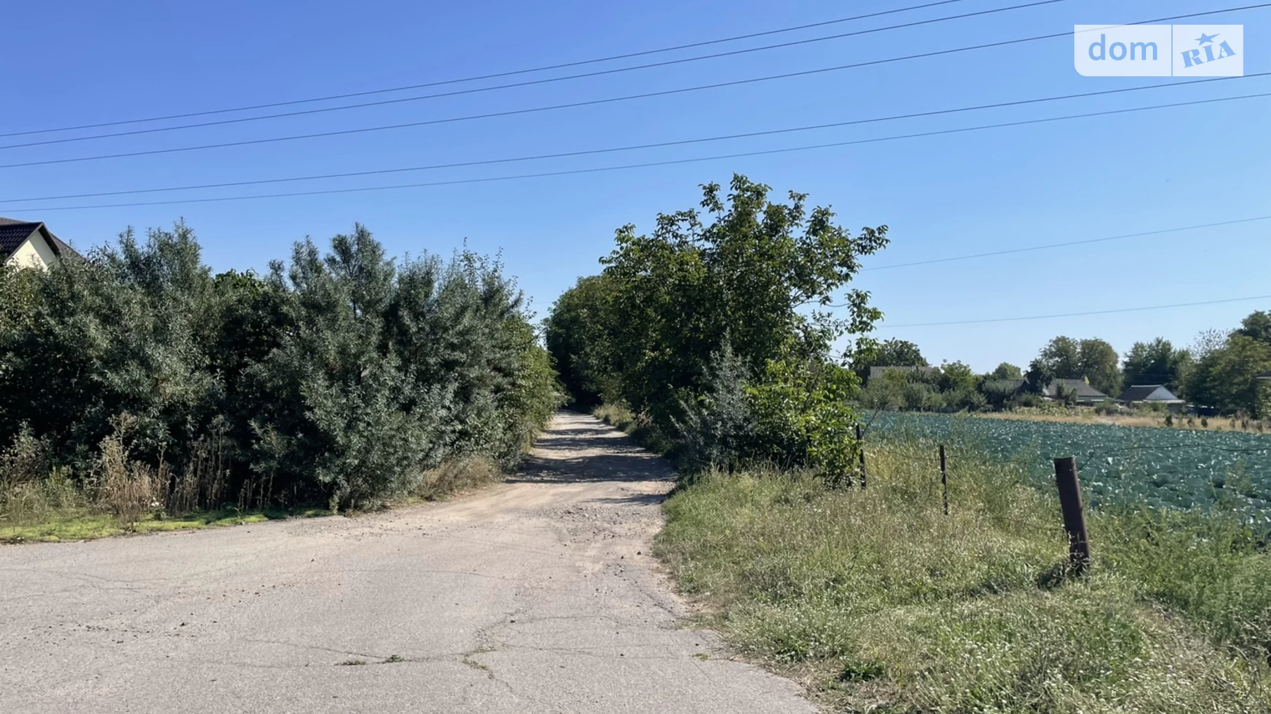 Продается земельный участок 20 соток в Винницкой области, цена: 8500 $ - фото 3