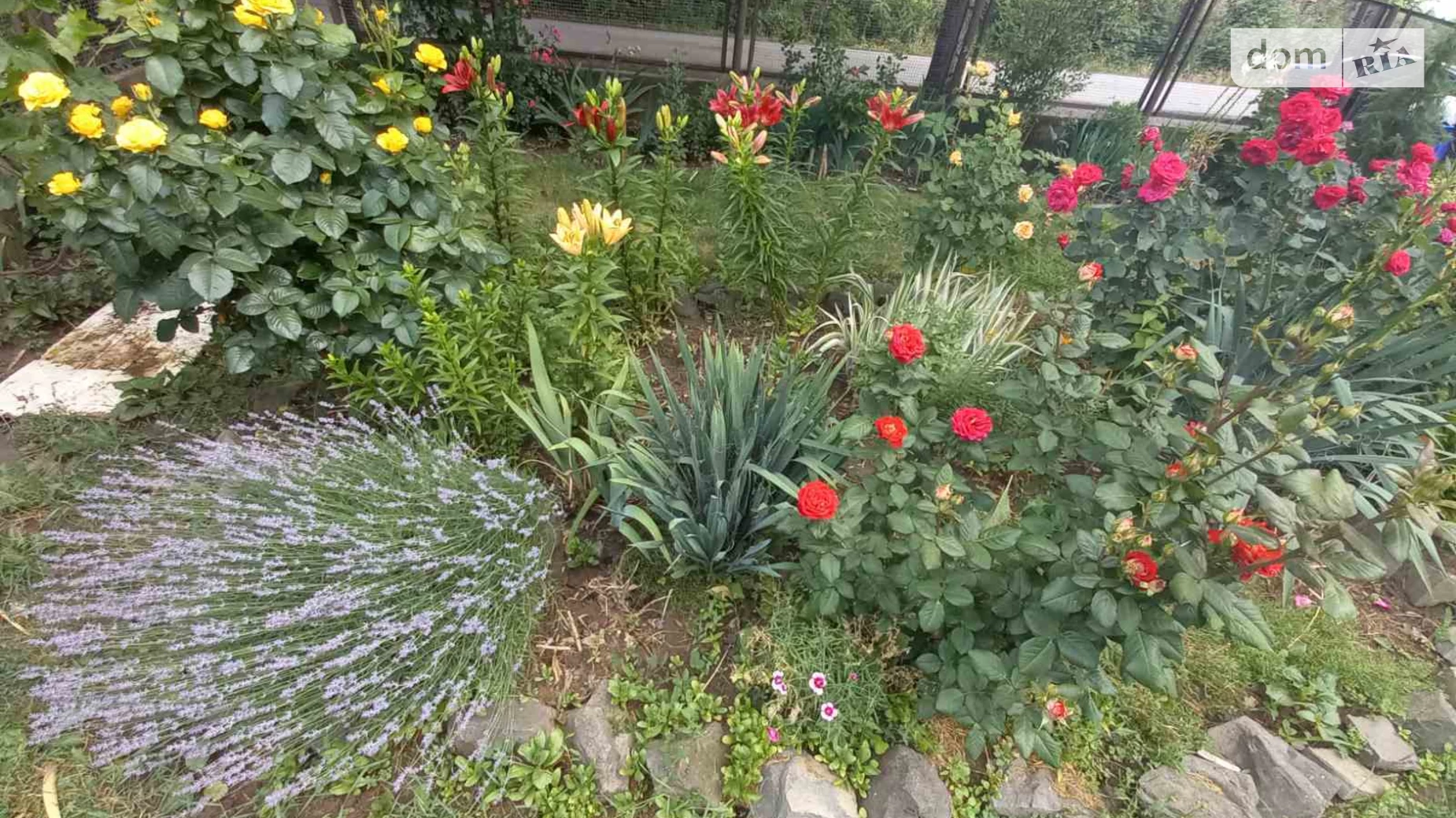 ул. Сусликова Михаила Садовый Ужгород, цена: 27000 $ - фото 2