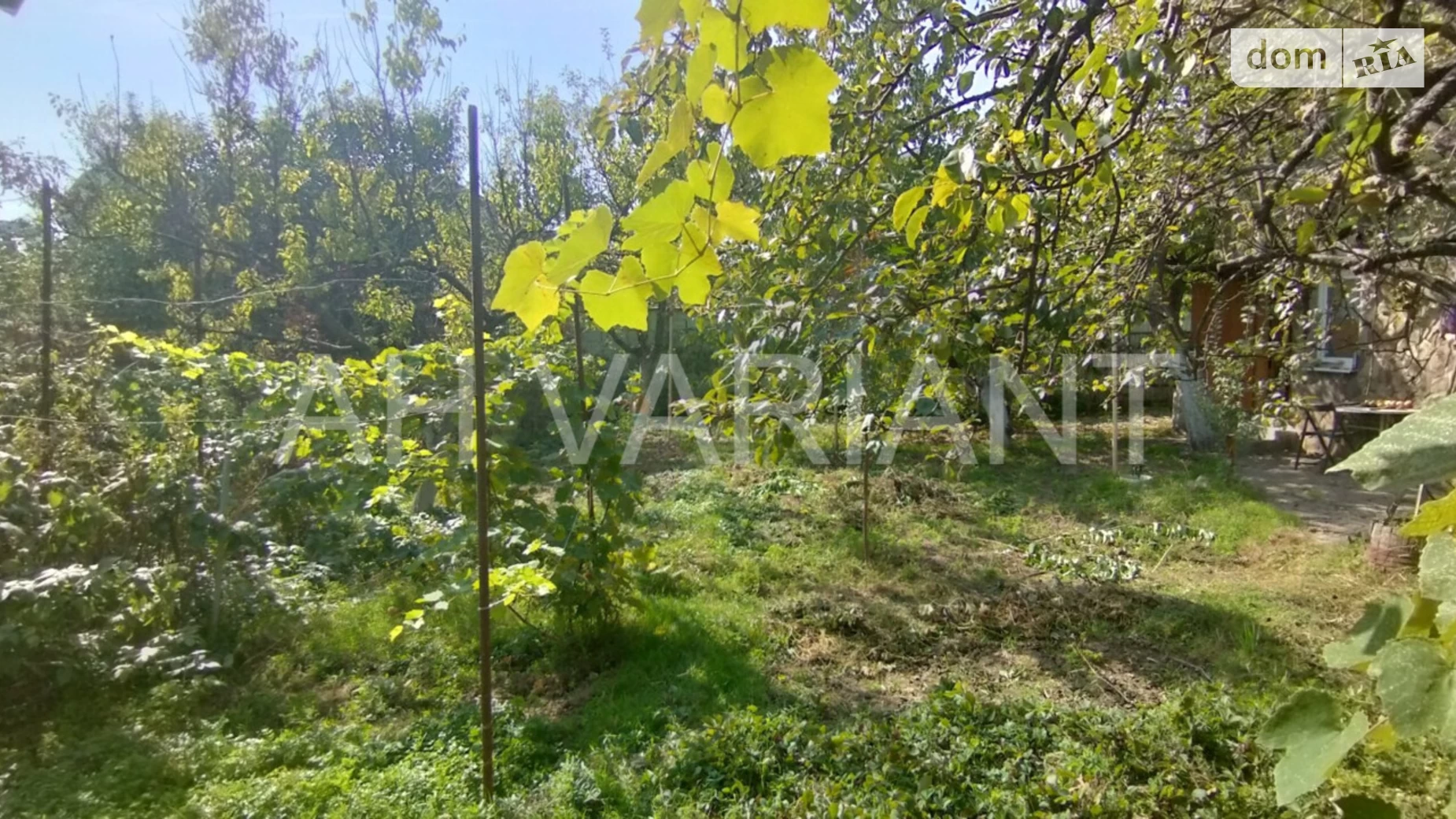 ул. Грушевского Ужгород, цена: 120000 $ - фото 5