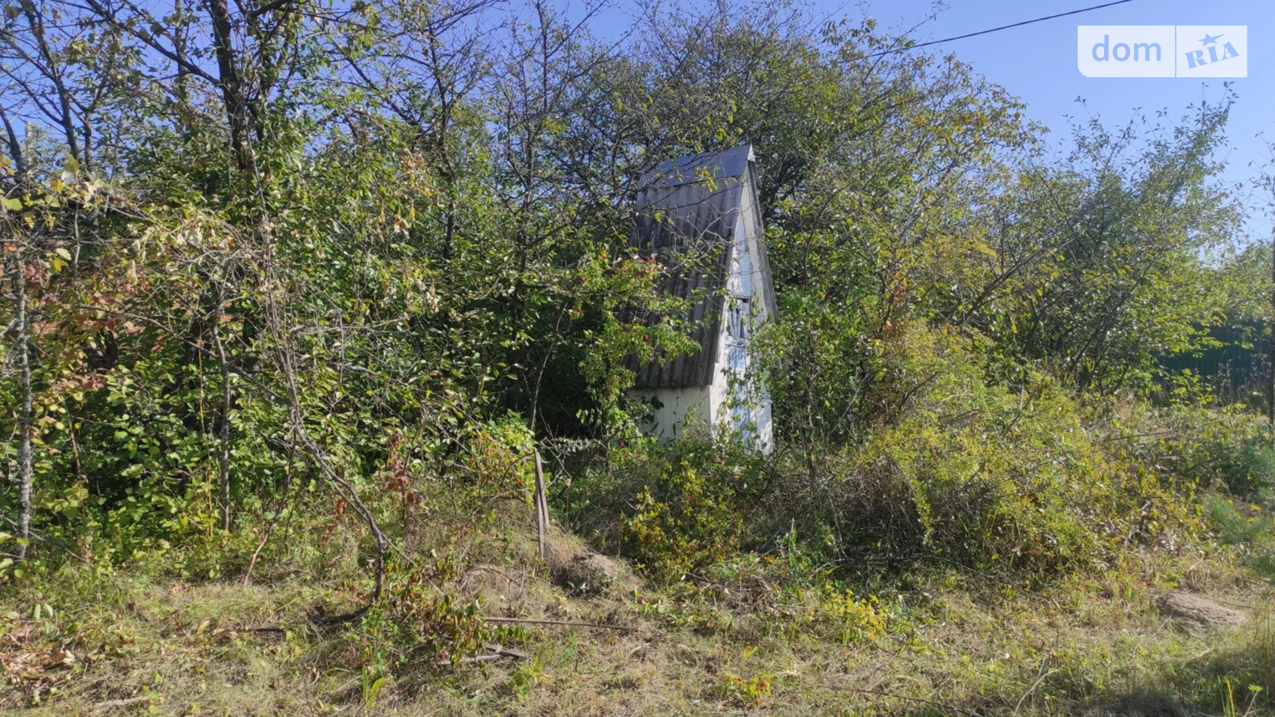 СТ Меркурій Лесовые Гриновцы, цена: 10000 $ - фото 2