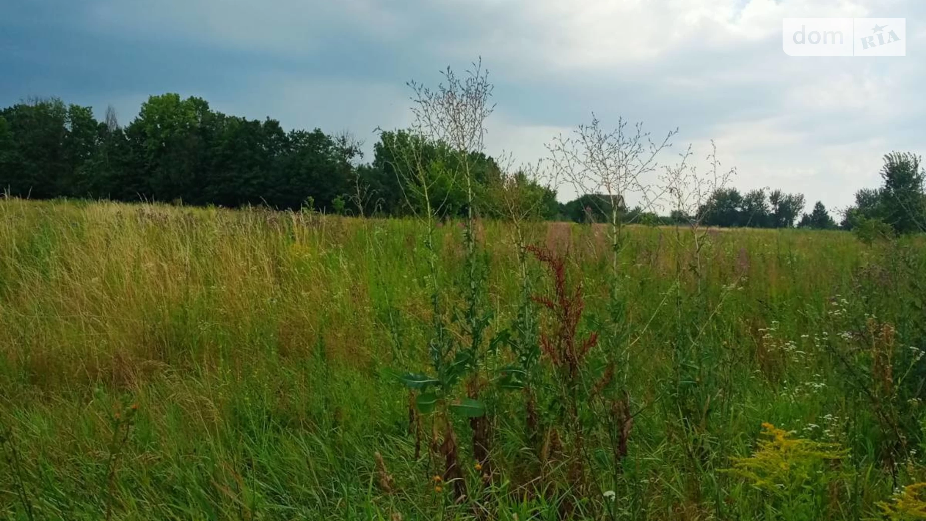 Продается земельный участок 13.13 соток в Винницкой области, цена: 9500 $ - фото 2