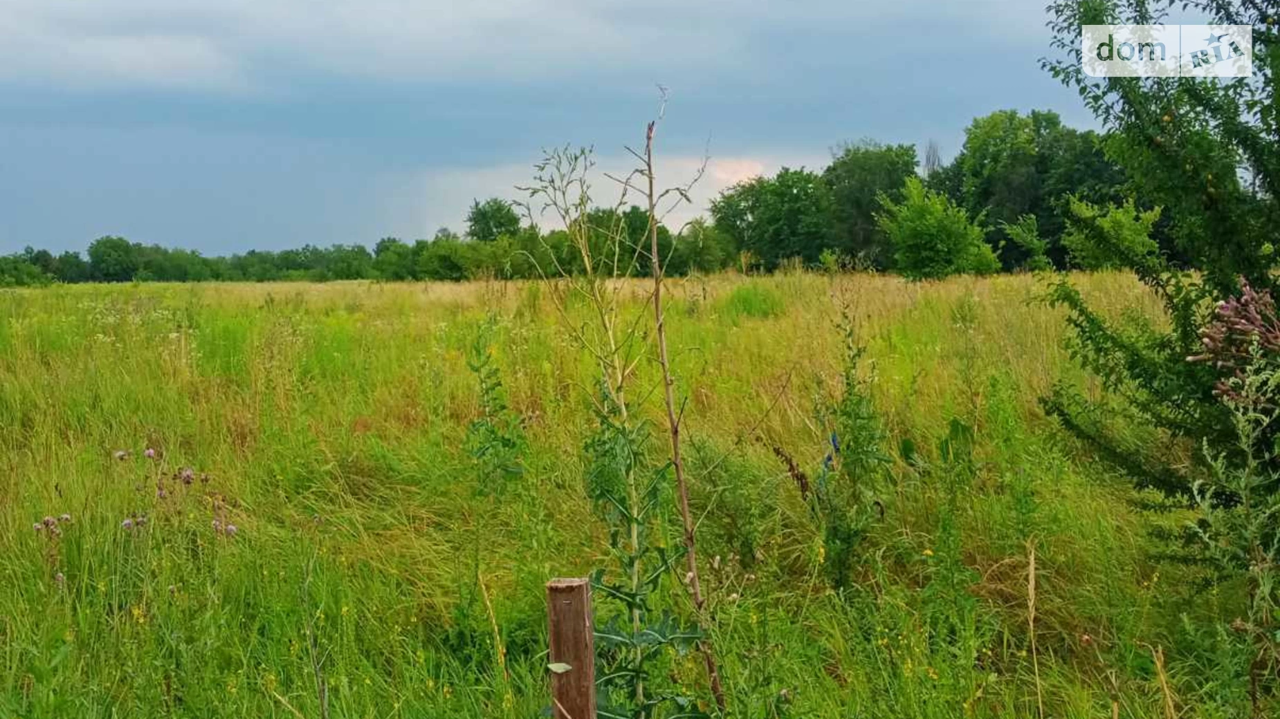 Продается земельный участок 13.13 соток в Винницкой области, цена: 9500 $ - фото 3