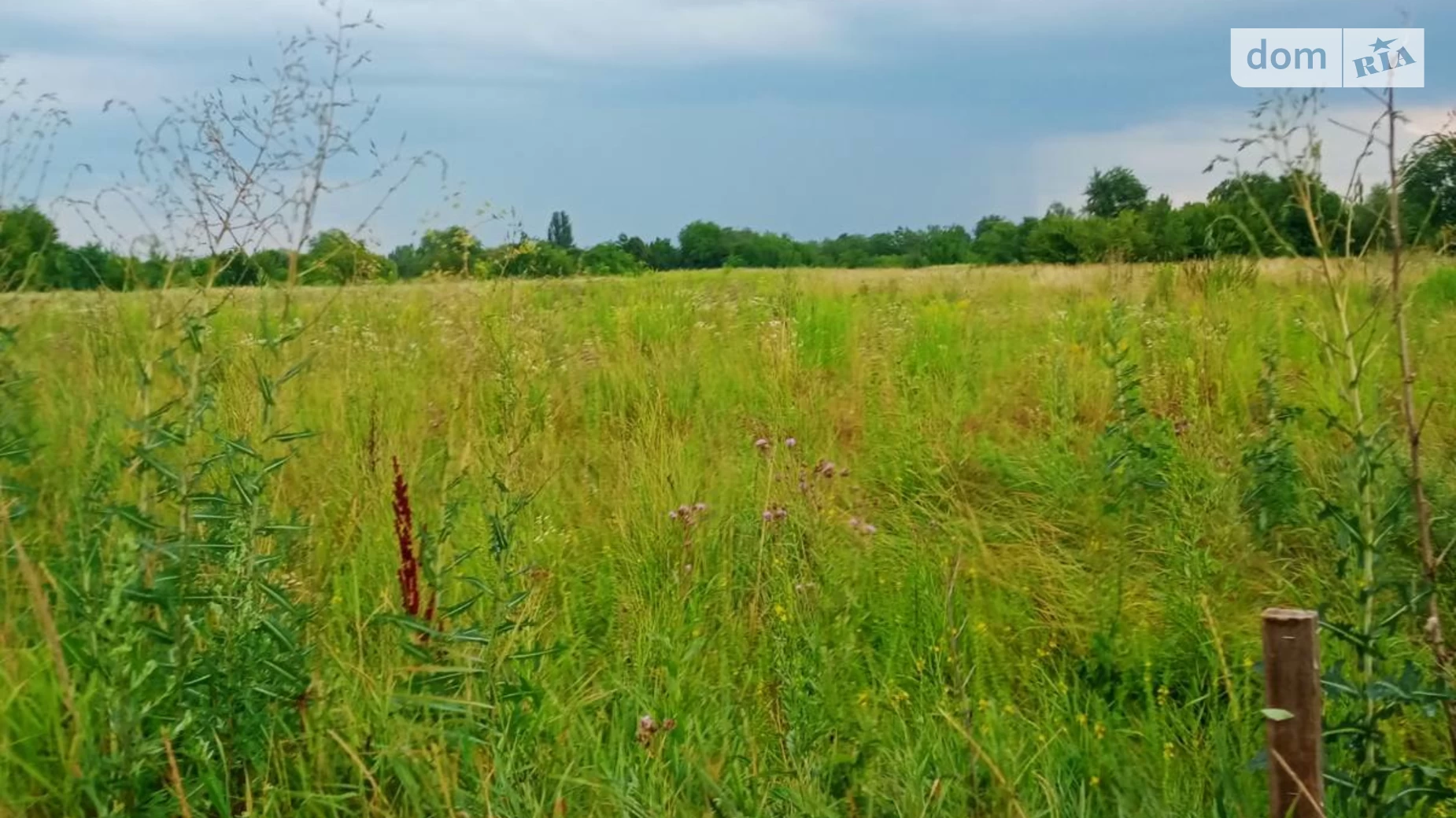 Продается земельный участок 13.13 соток в Винницкой области, цена: 9500 $ - фото 4