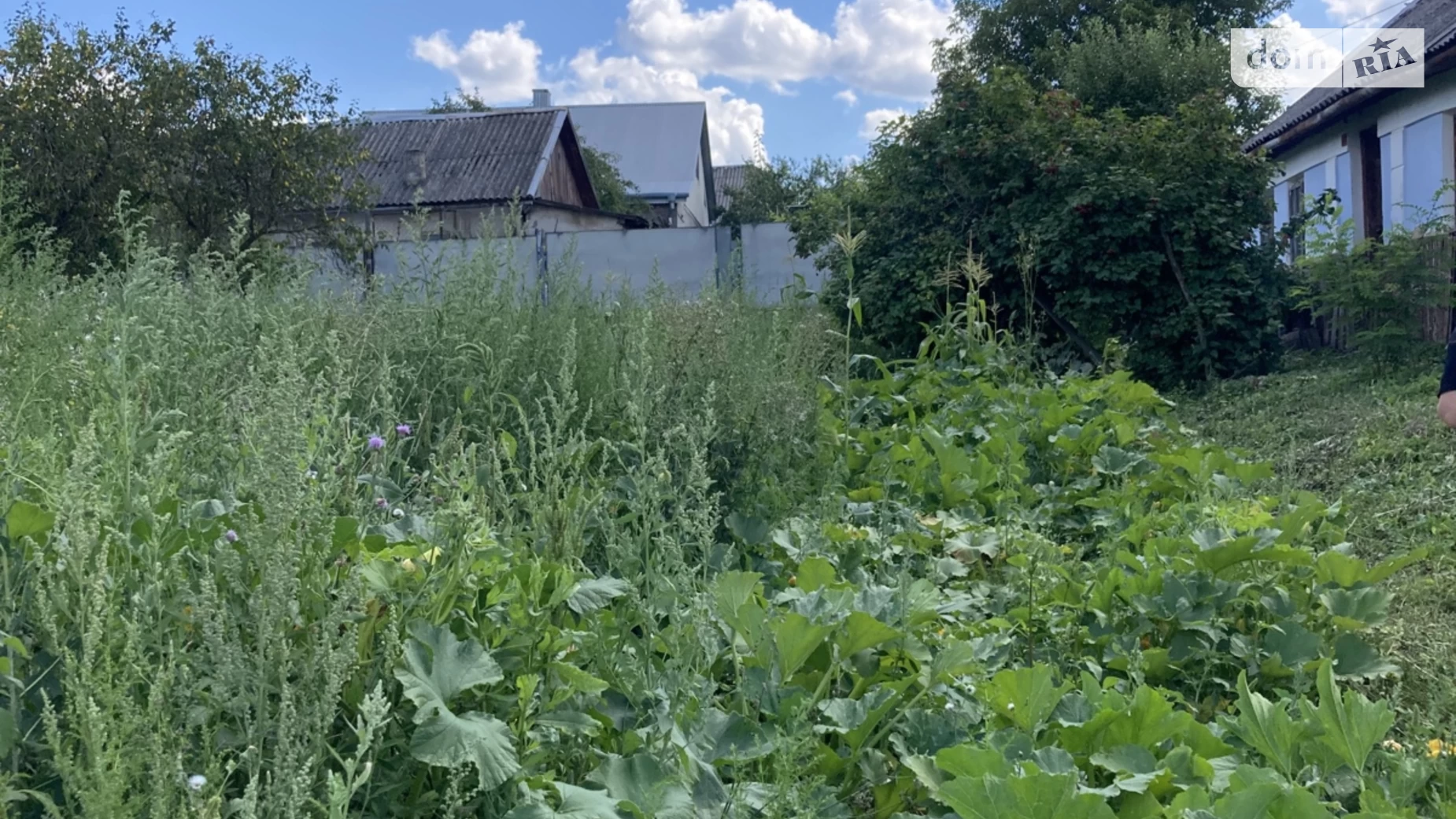 Продается земельный участок 9 соток в Тернопольской области, цена: 11000 $ - фото 3