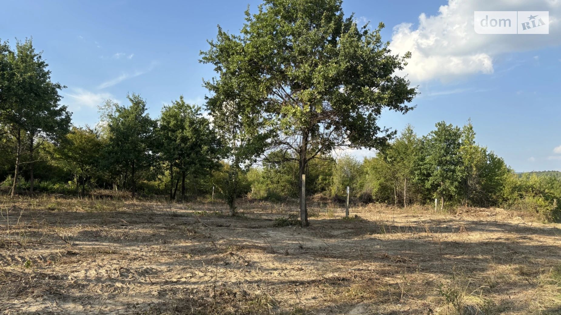 Продается земельный участок 54.3 соток в Закарпатской области, цена: 390960 $ - фото 2