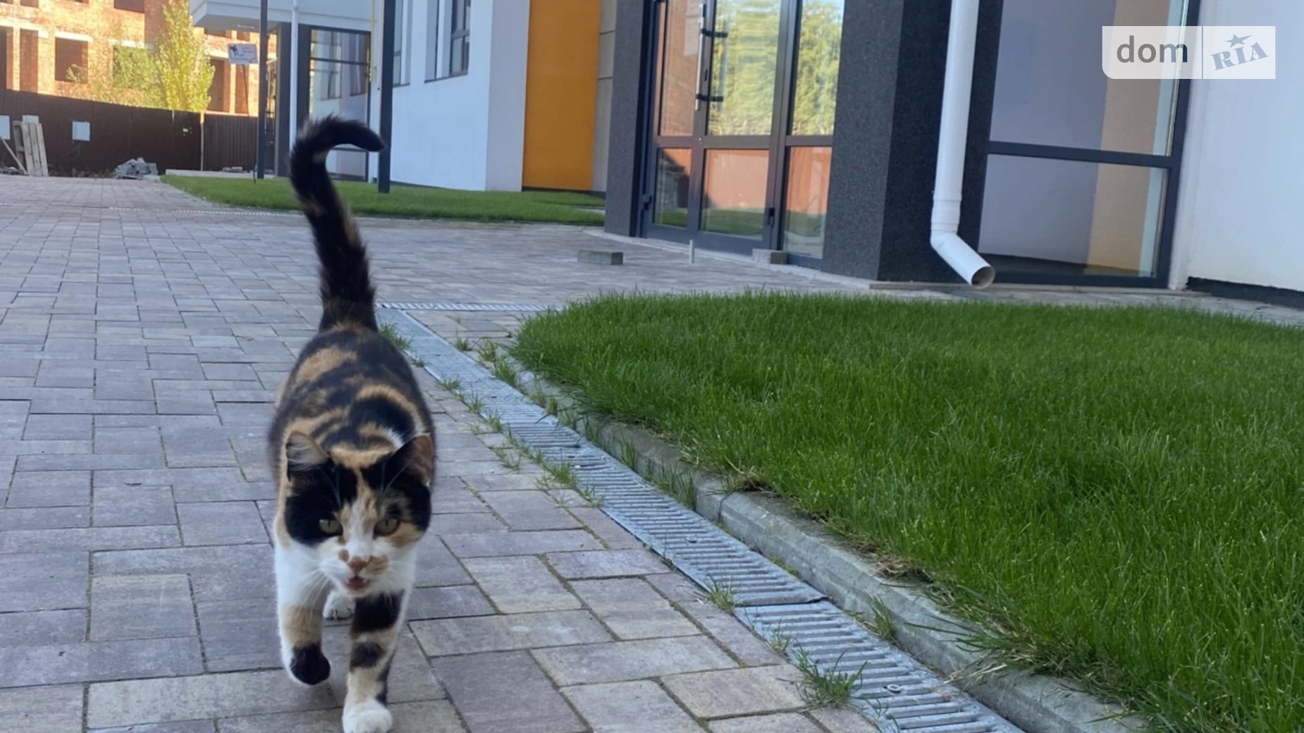 Продається 2-кімнатна квартира 76.8 кв. м у Ірпені, вул. Наталії Околитенко(Ломоносова) - фото 3