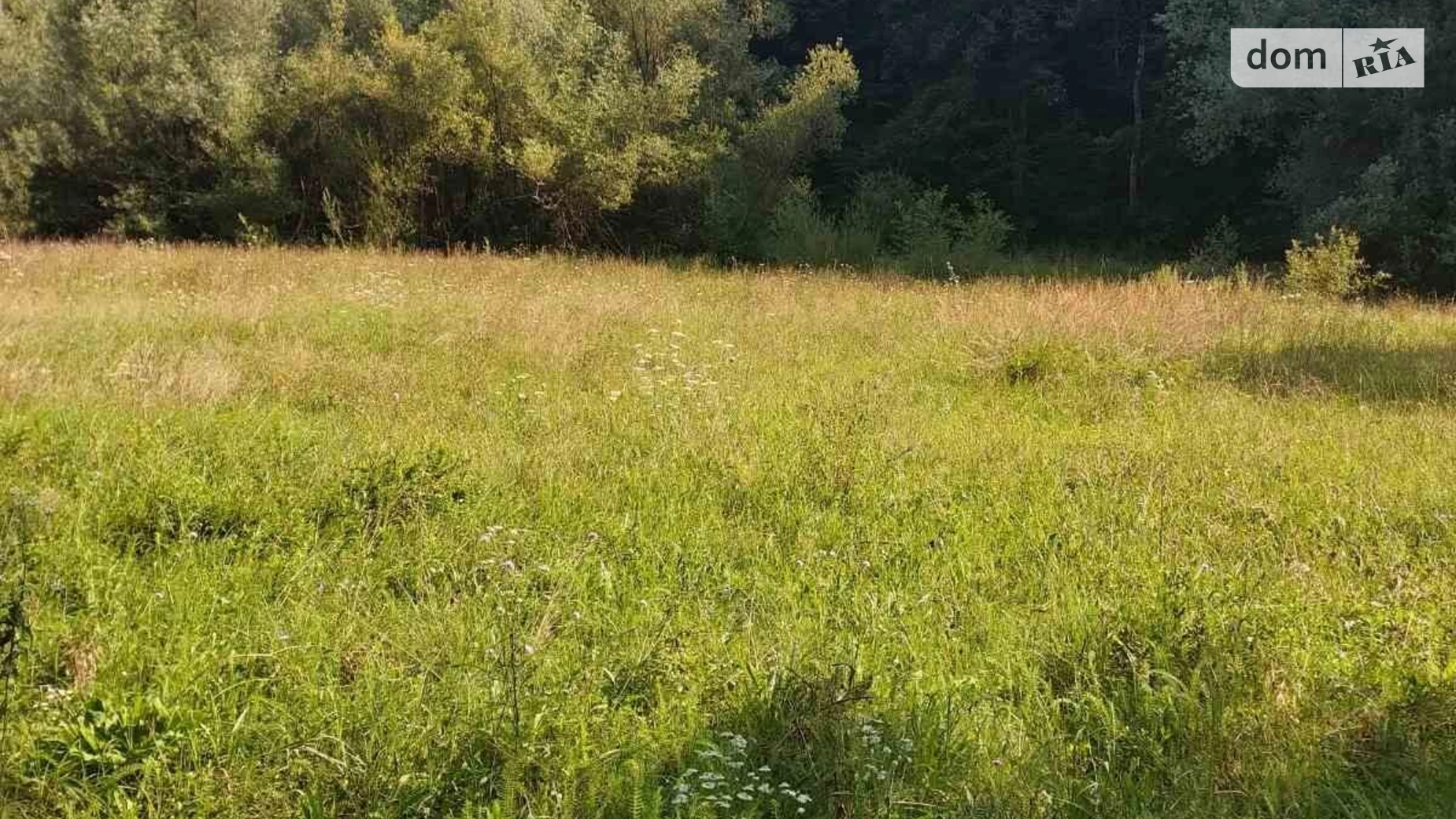 Продается земельный участок 0.0969 соток в Закарпатской области, цена: 237405 грн - фото 2