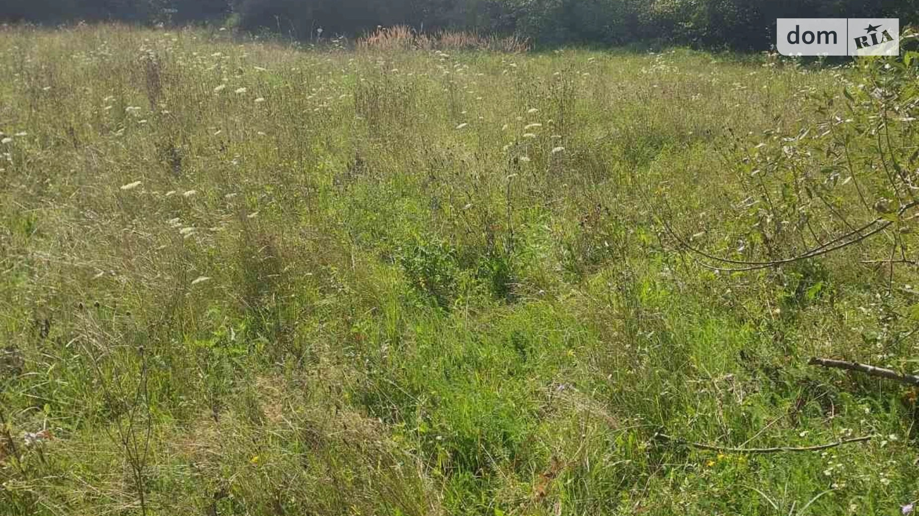 Продается земельный участок 0.0969 соток в Закарпатской области, цена: 237405 грн - фото 3